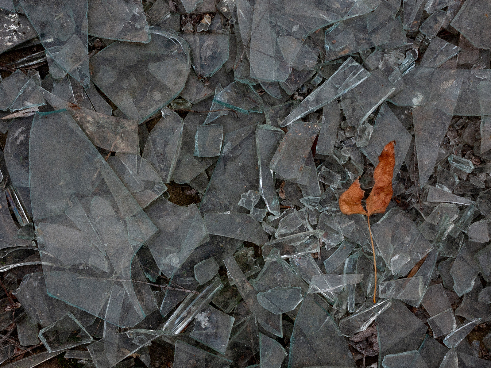 "Heartbreak", 2024