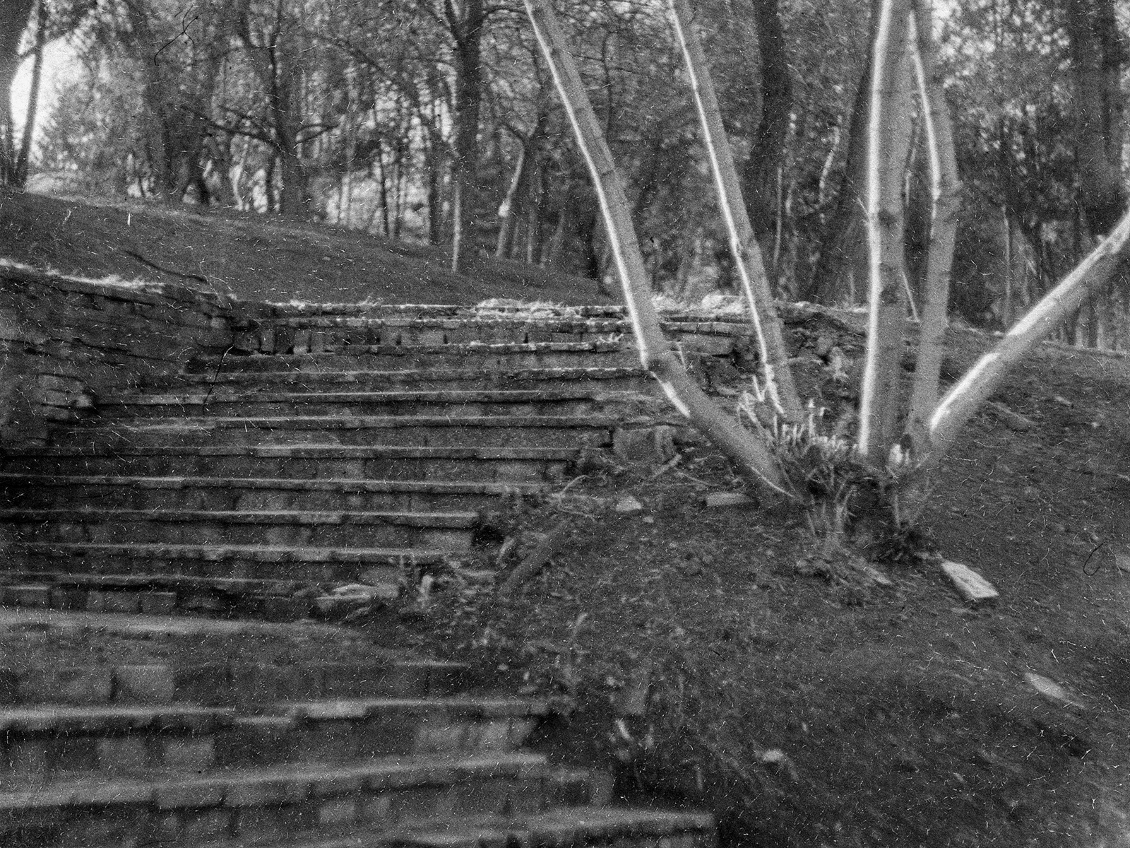 2024, Свема ФН64 (протерміновка 1984)
