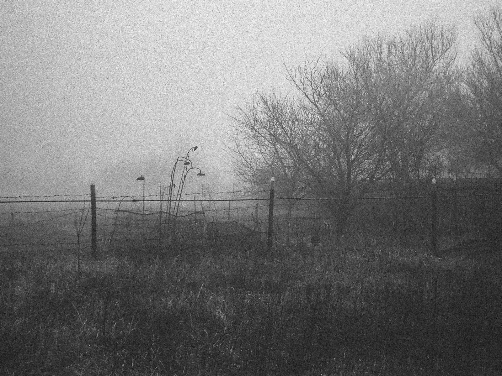 Kentmere Pan 400