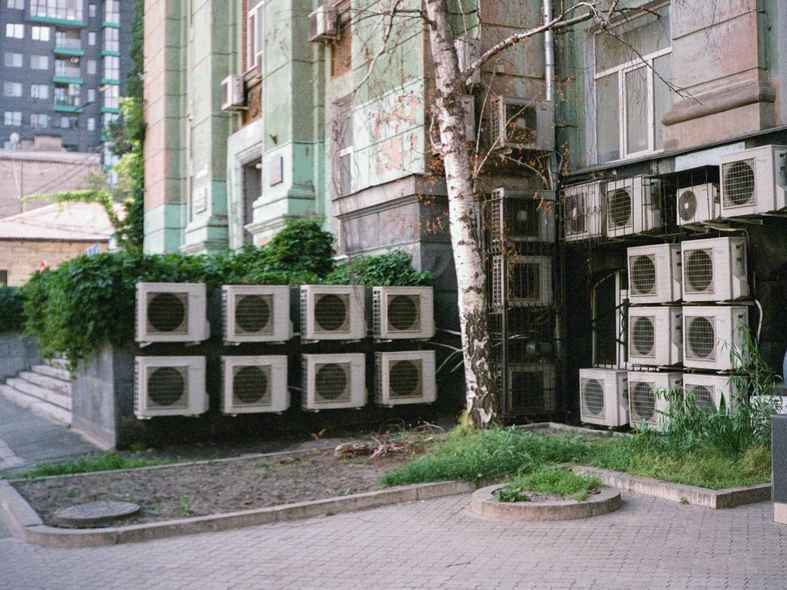 2026, Fujifilm Superia X-TRA 400 (протерміновка 2010)