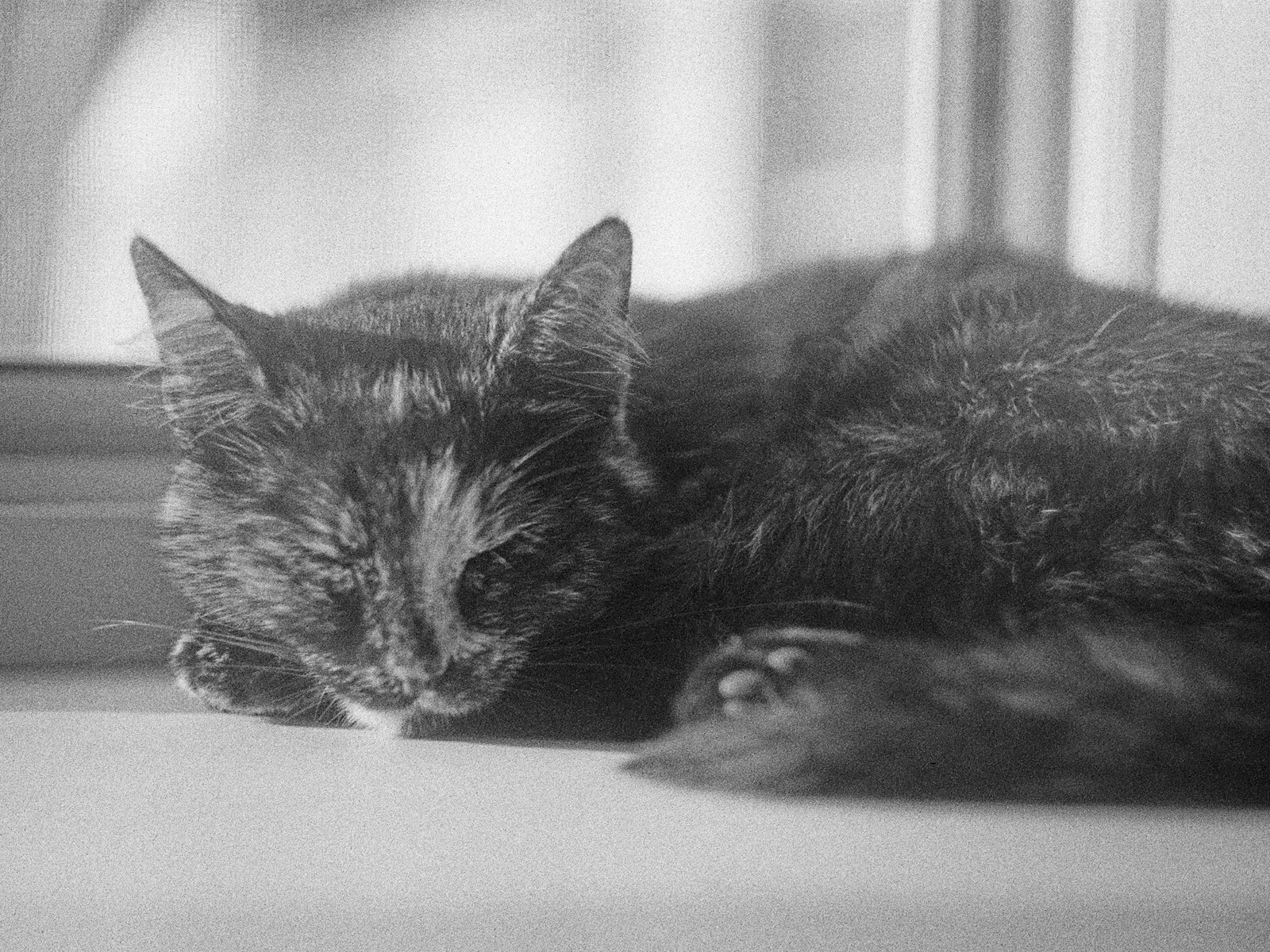 2024, Fortepan 100 (протерміновка 2012)