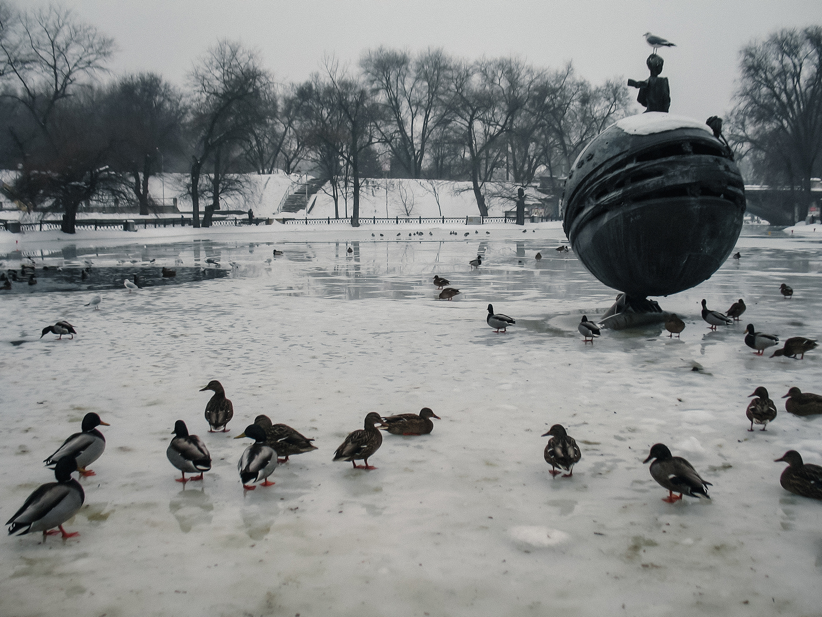 "Маленький принц", 2022