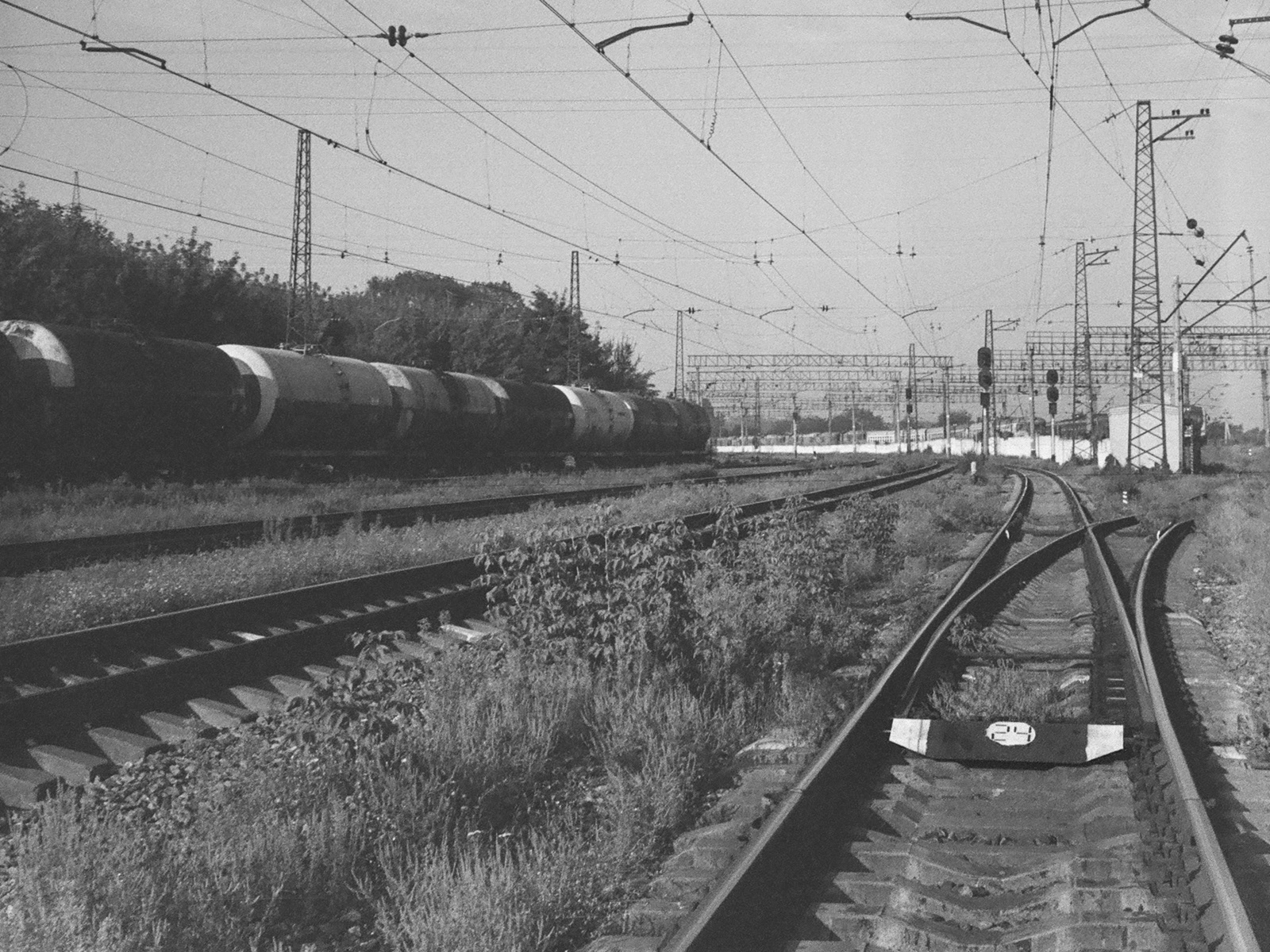 2023, Kodak Eastman Double-X 5222