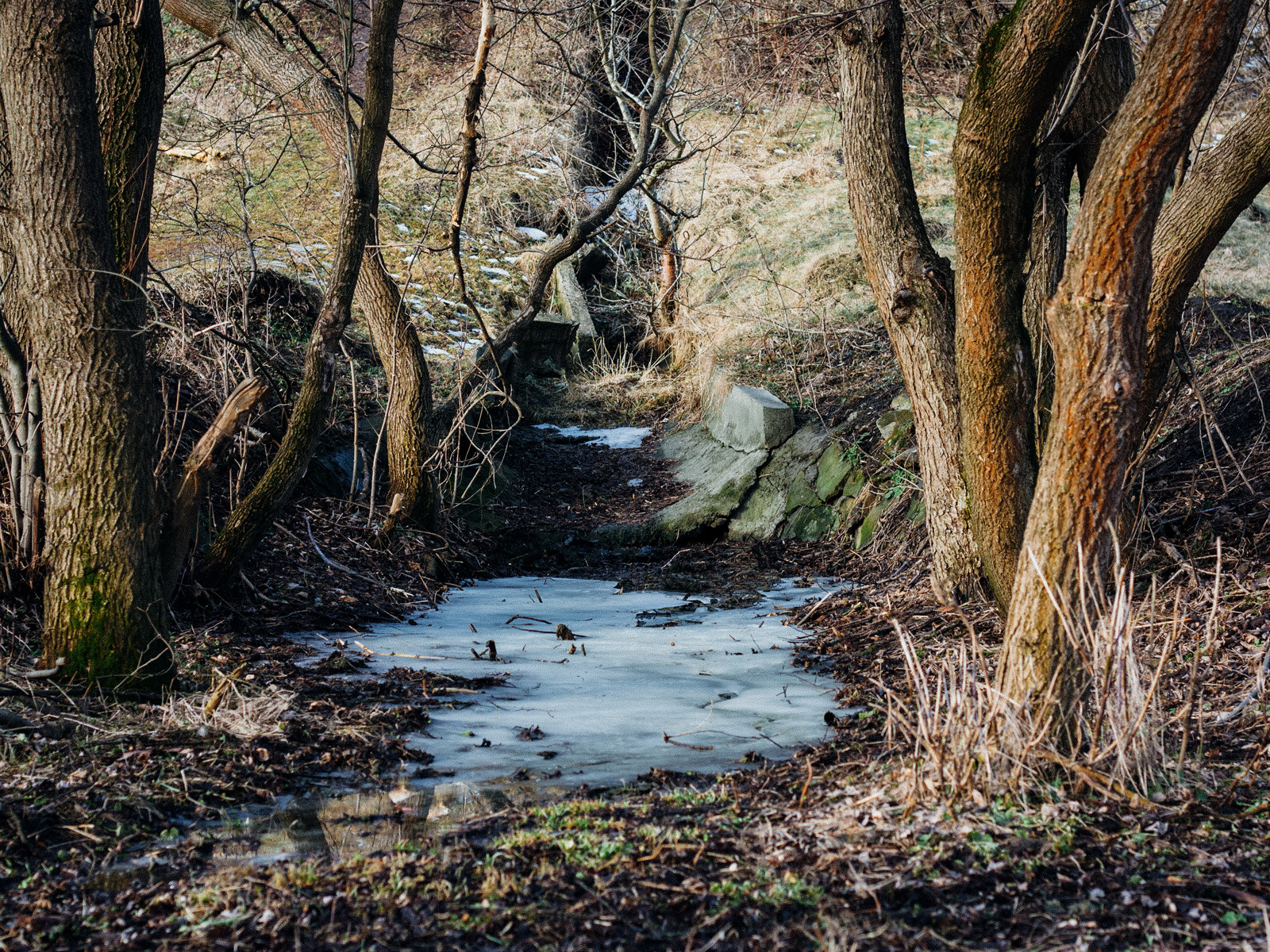 2023