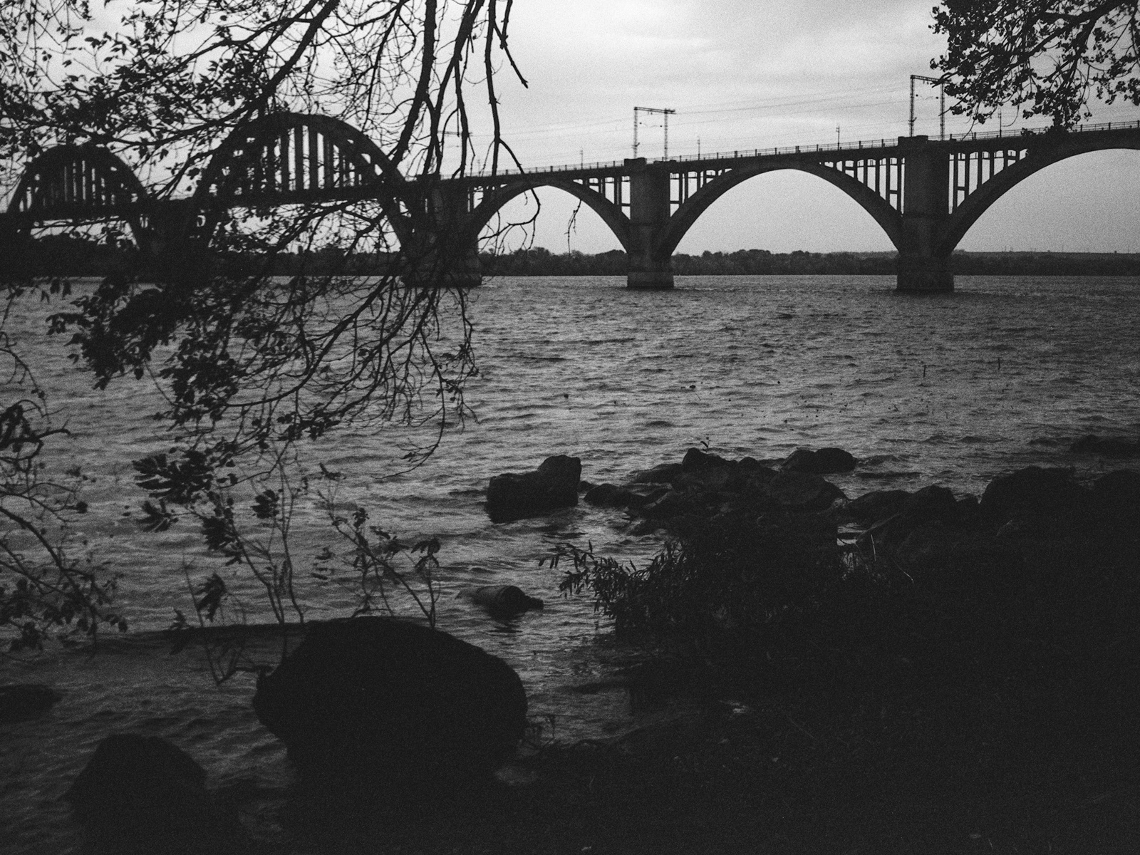 2025, Rollei Infrared 400