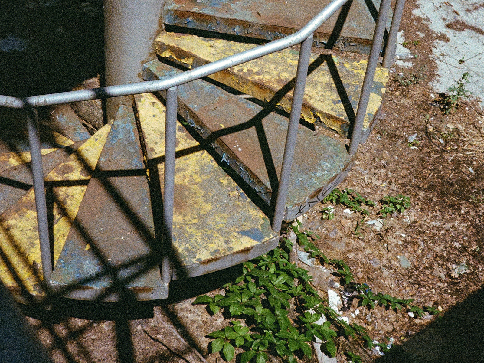 2026, Kodak Gold 200 (протерміновка 2011)