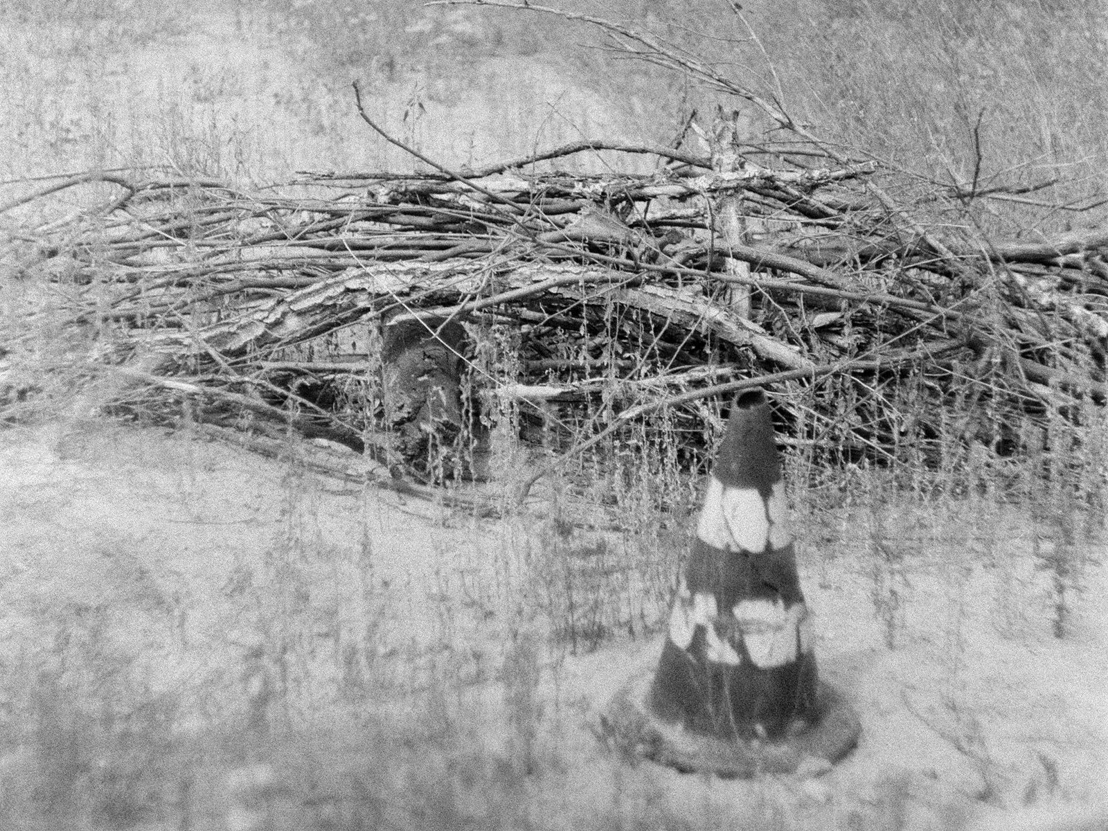 2025, Ilford HP5 Plus 400