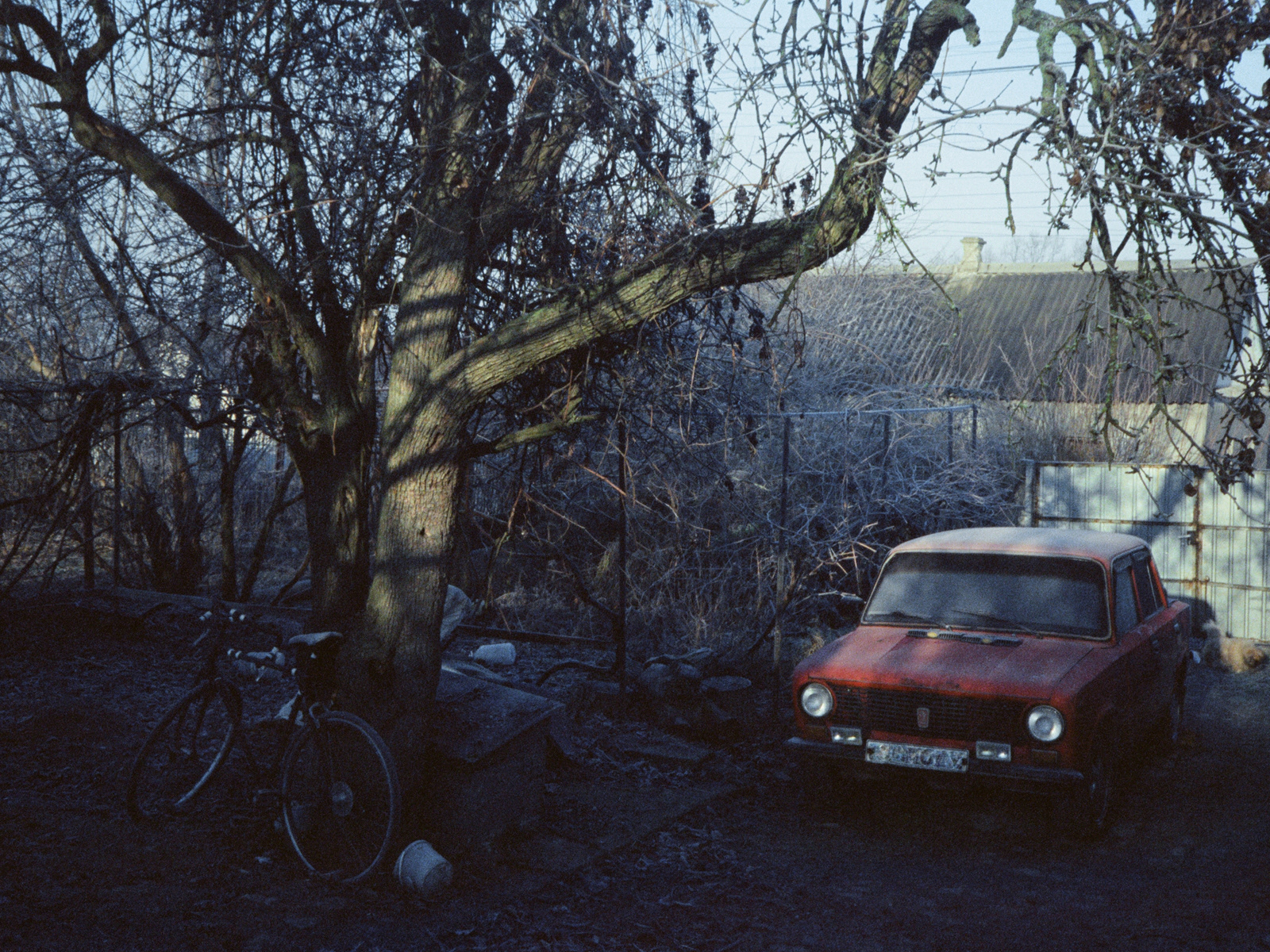 2025. Kodak Vision3 500T