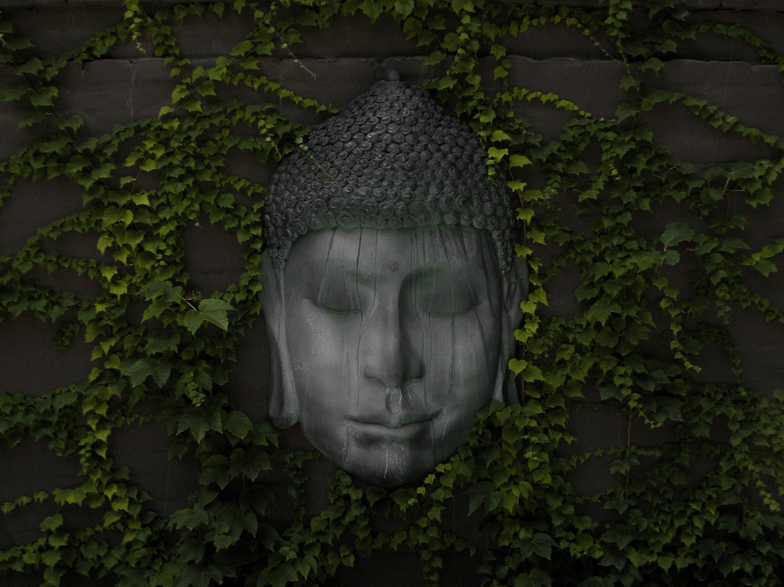 "Tranquility", 2020