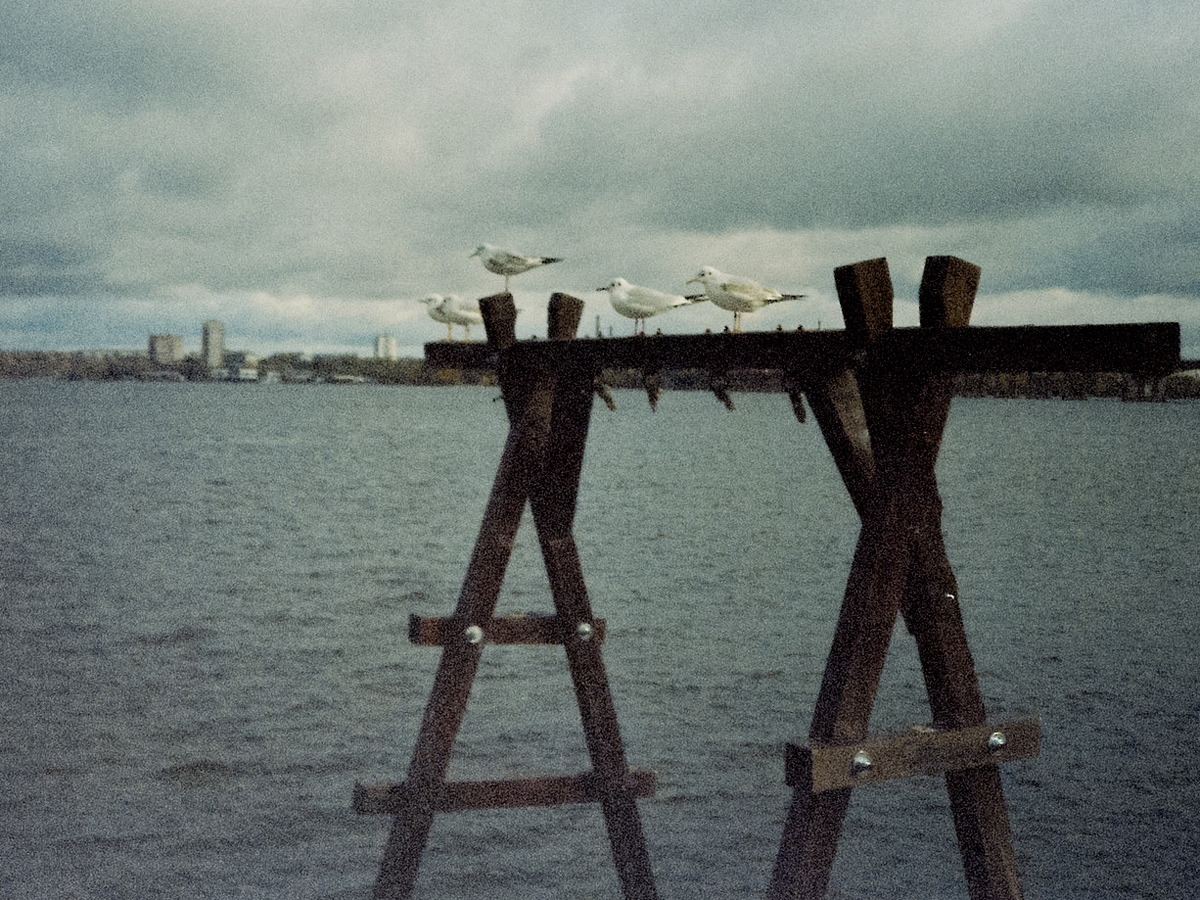2022. Kodak Vision2 500T/5218 (протерміновка)
