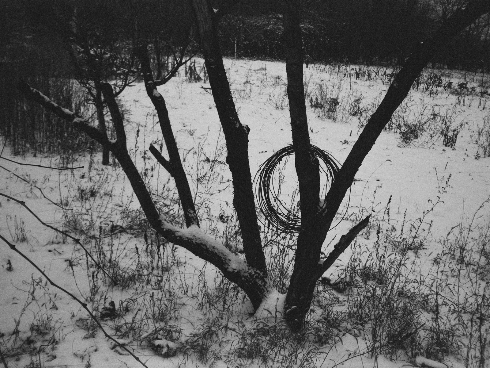 2026, Fomapan 200