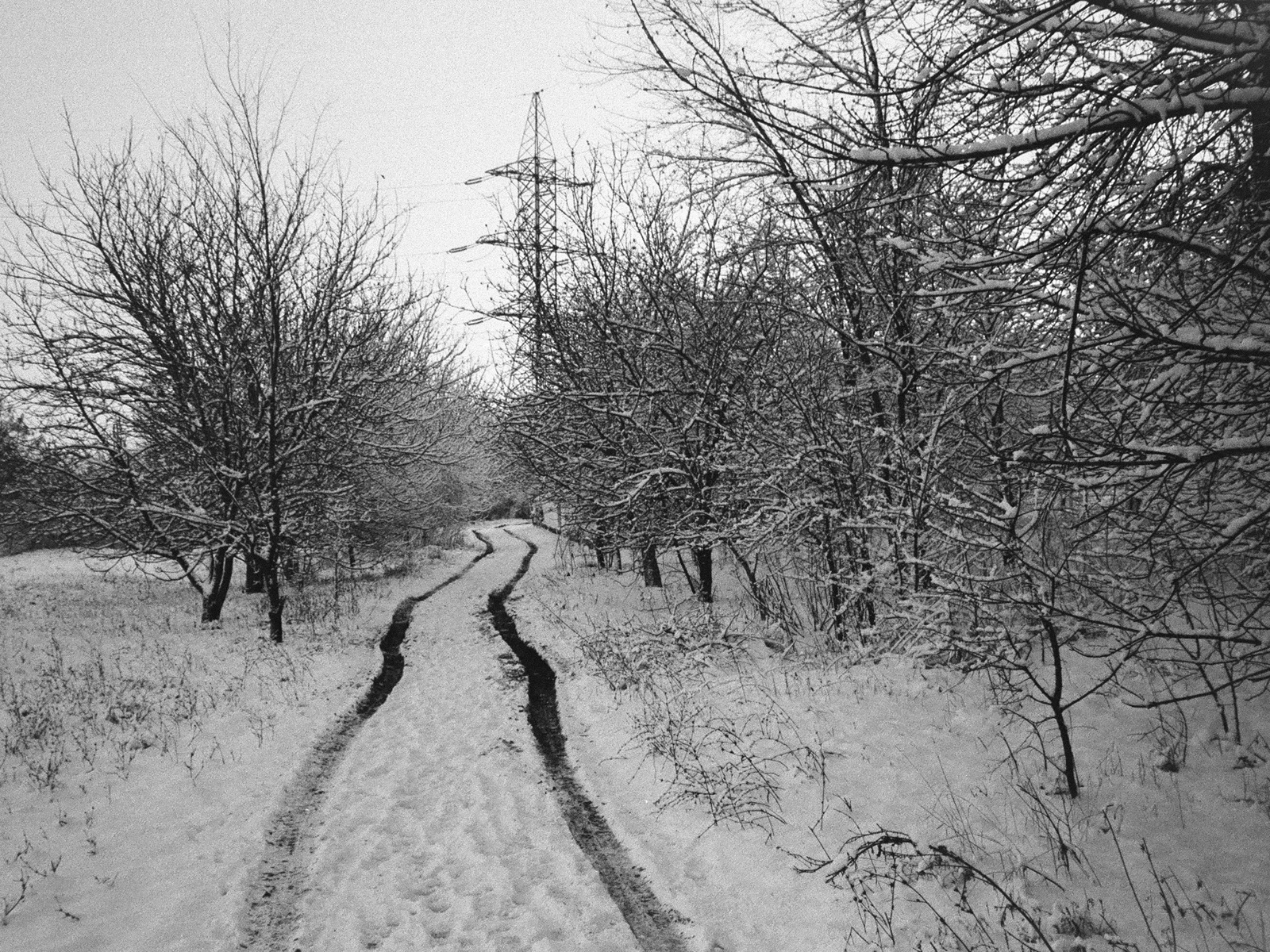 2022, Kentmere Pan 400