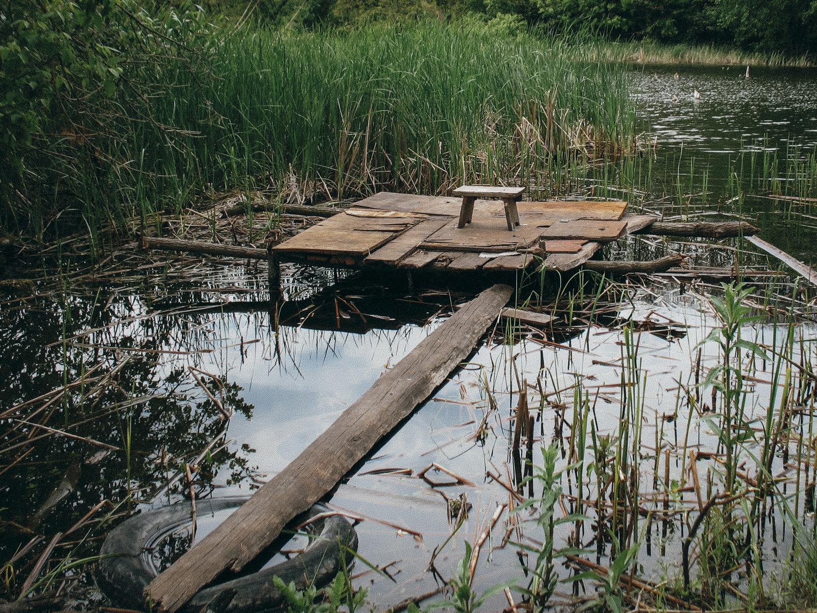 "An Introvert's Paradise", 2020