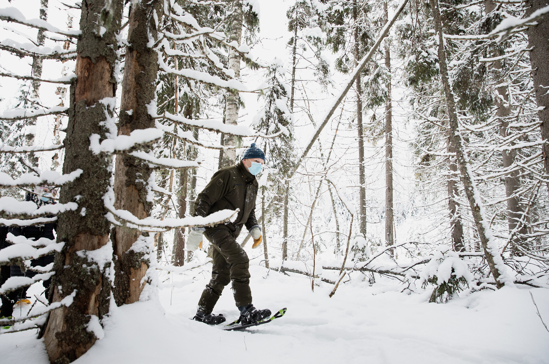 Ministeri Jari Leppä etsii Tohmajärvellä suden ulostetta. Jätöksistä otetaan DNA-näyte, jotta saataisiin tarkempaa tietoa laumoista ja reviireistä.