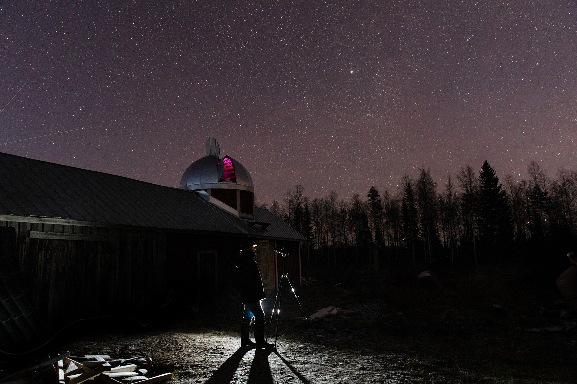 Pimeä puisto Olli Reijonen, Kaavi
