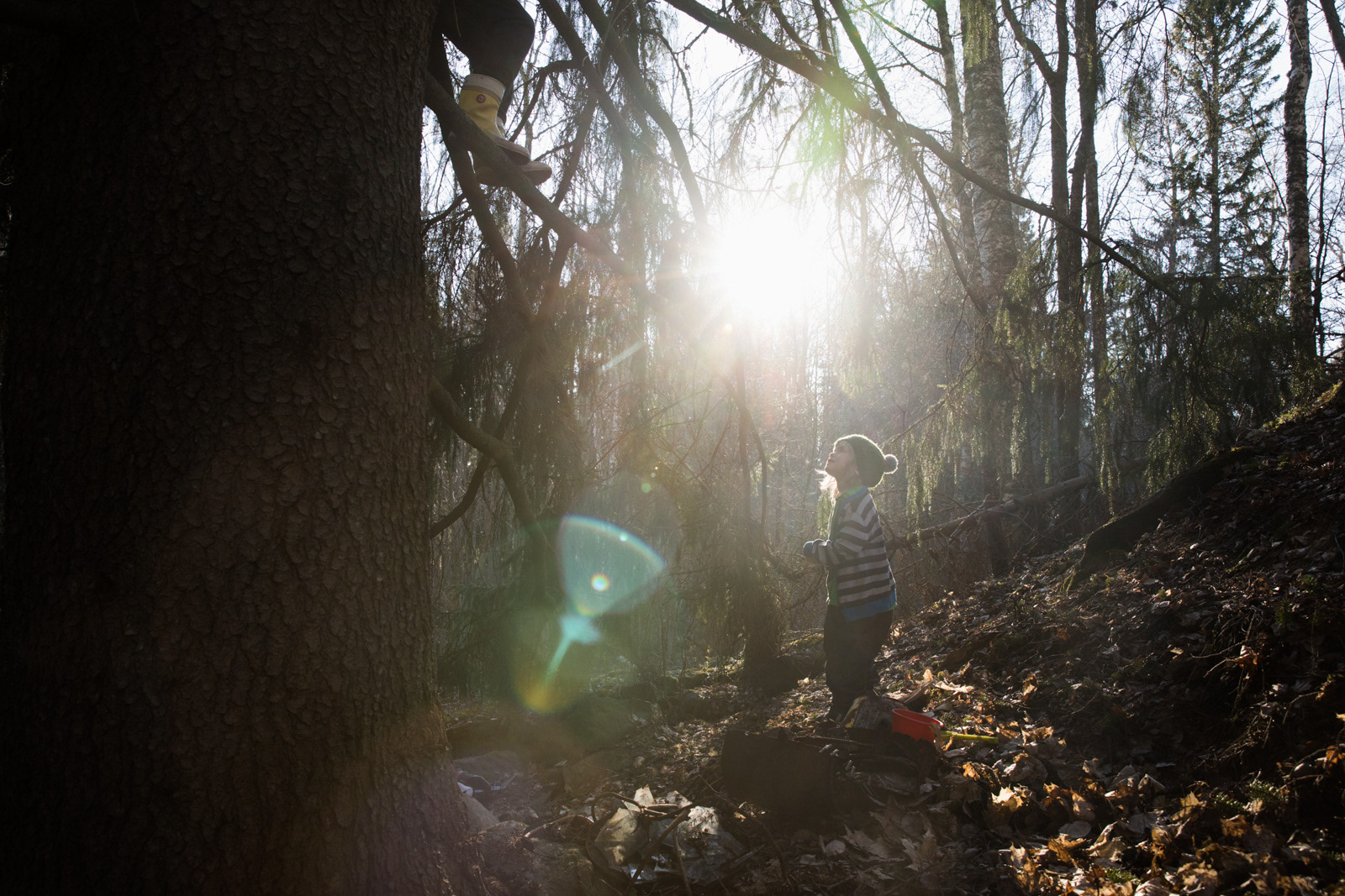 Roskienkeräyspäivä, metsässä on hyvä olla.