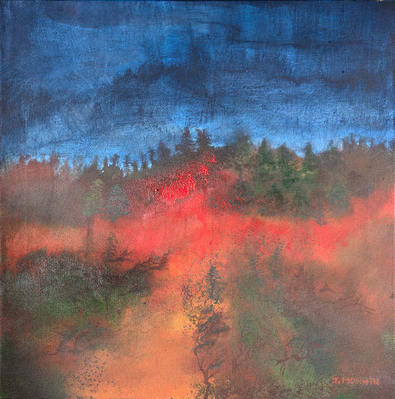 ACRYLIQUE SUR TOILE H50 x L50