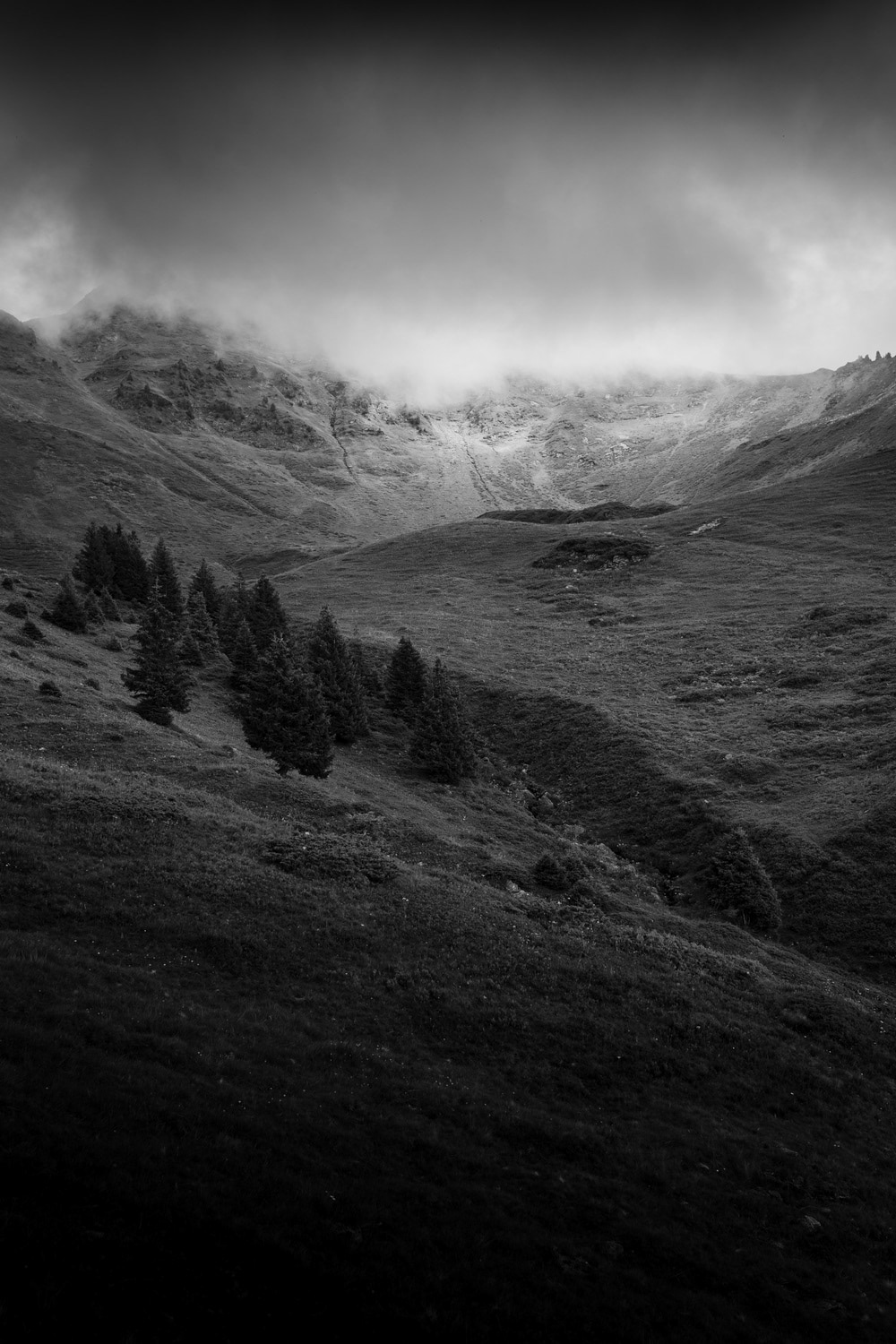 Alpage de la Thuile, Bauges mountain range, France