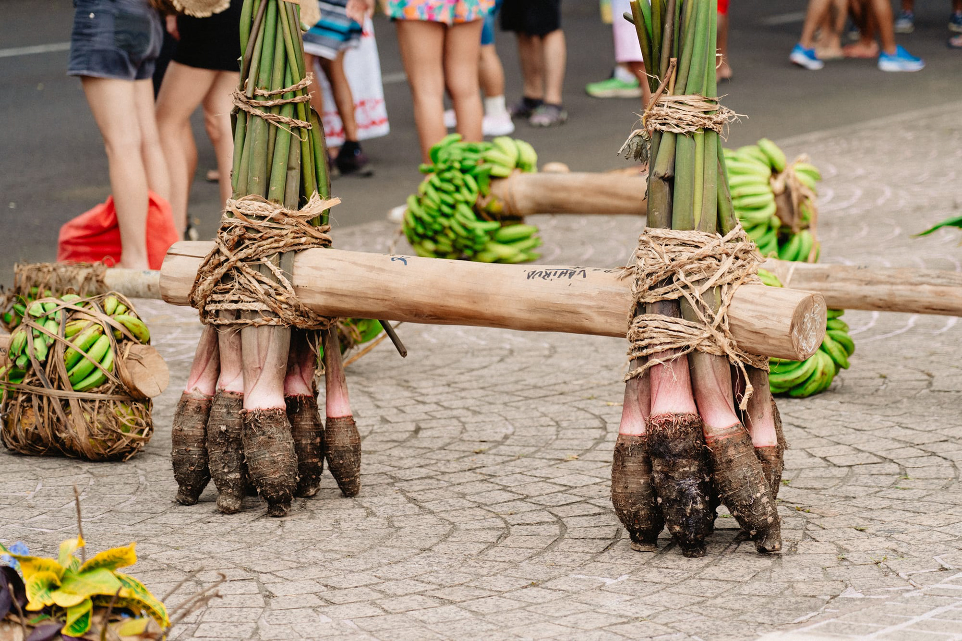 Course de porteurs de fruits 2025