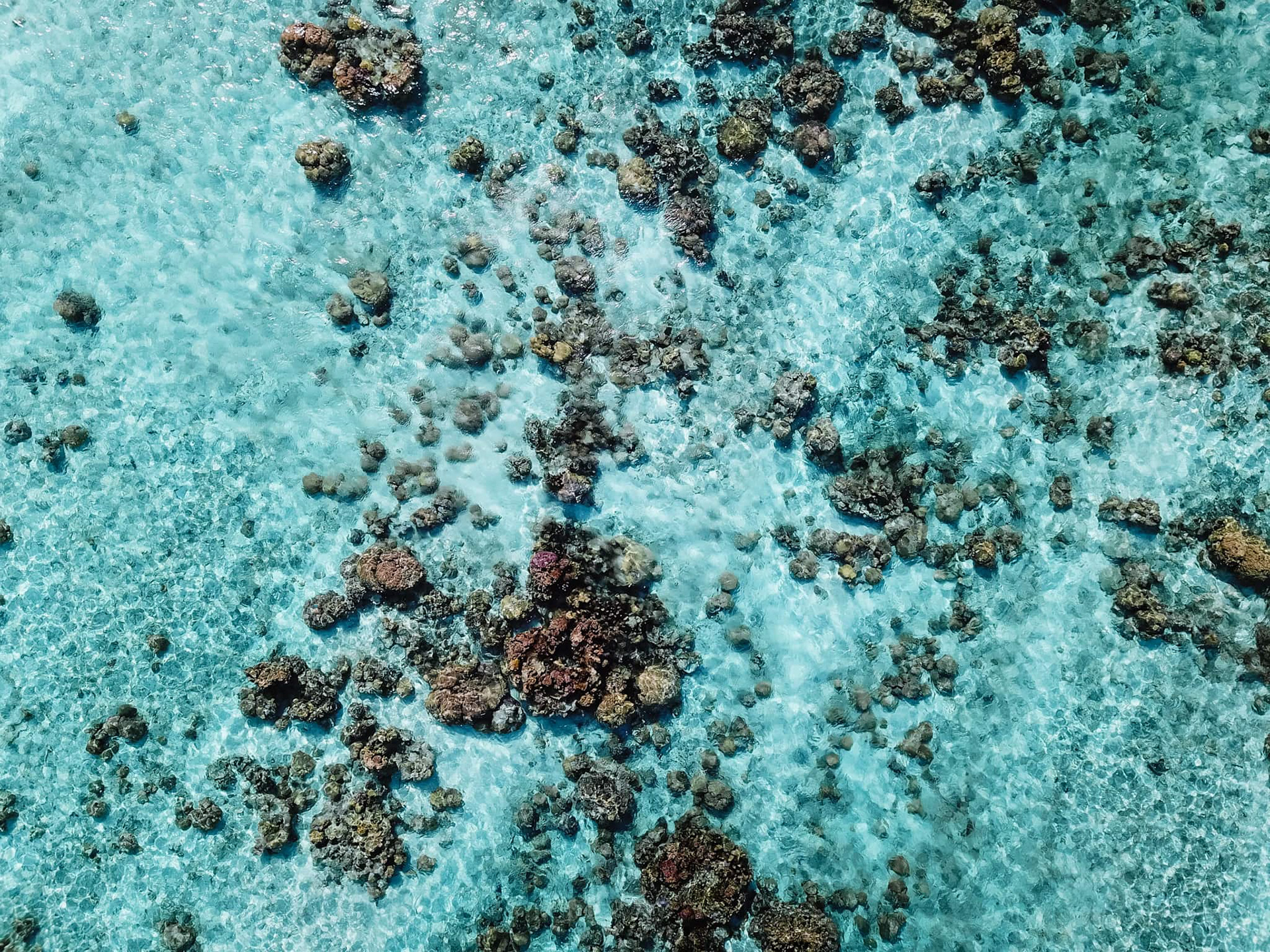 Taha'a, French Polynesia