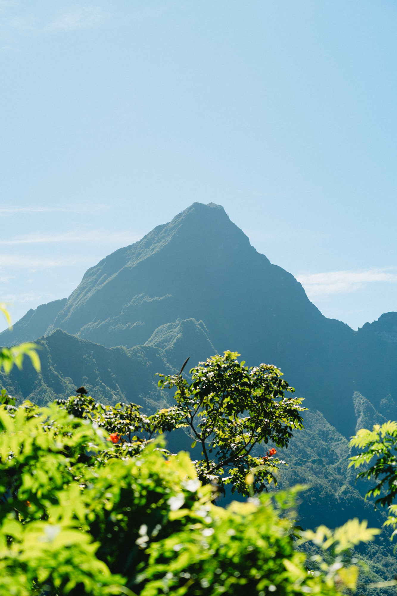 Mont Aora'i vu depuis la vallée de Punaru'u