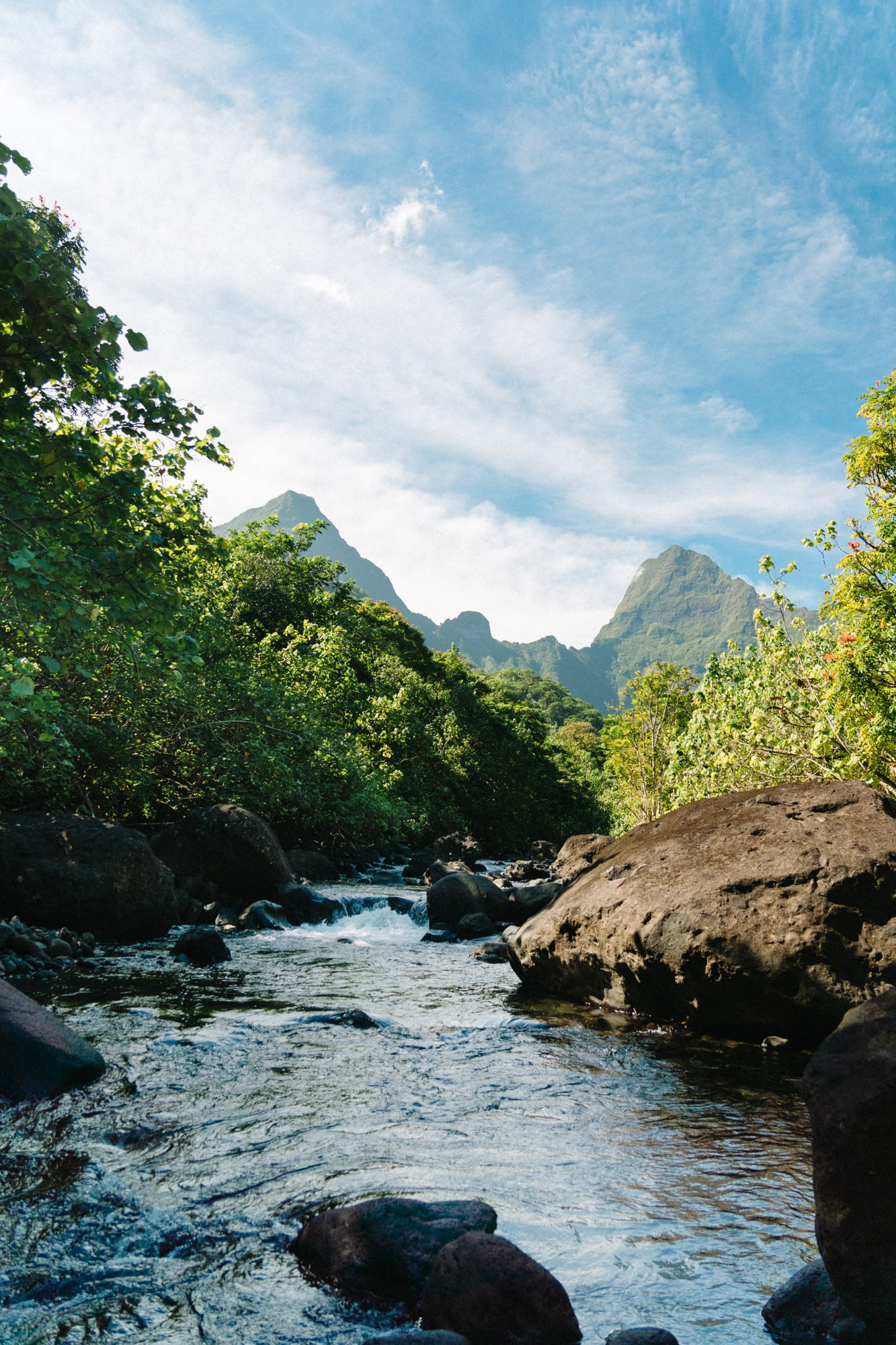 Les monts Aora'i (g) et 'Orohena (d) surplombant la rivière Punaru'u