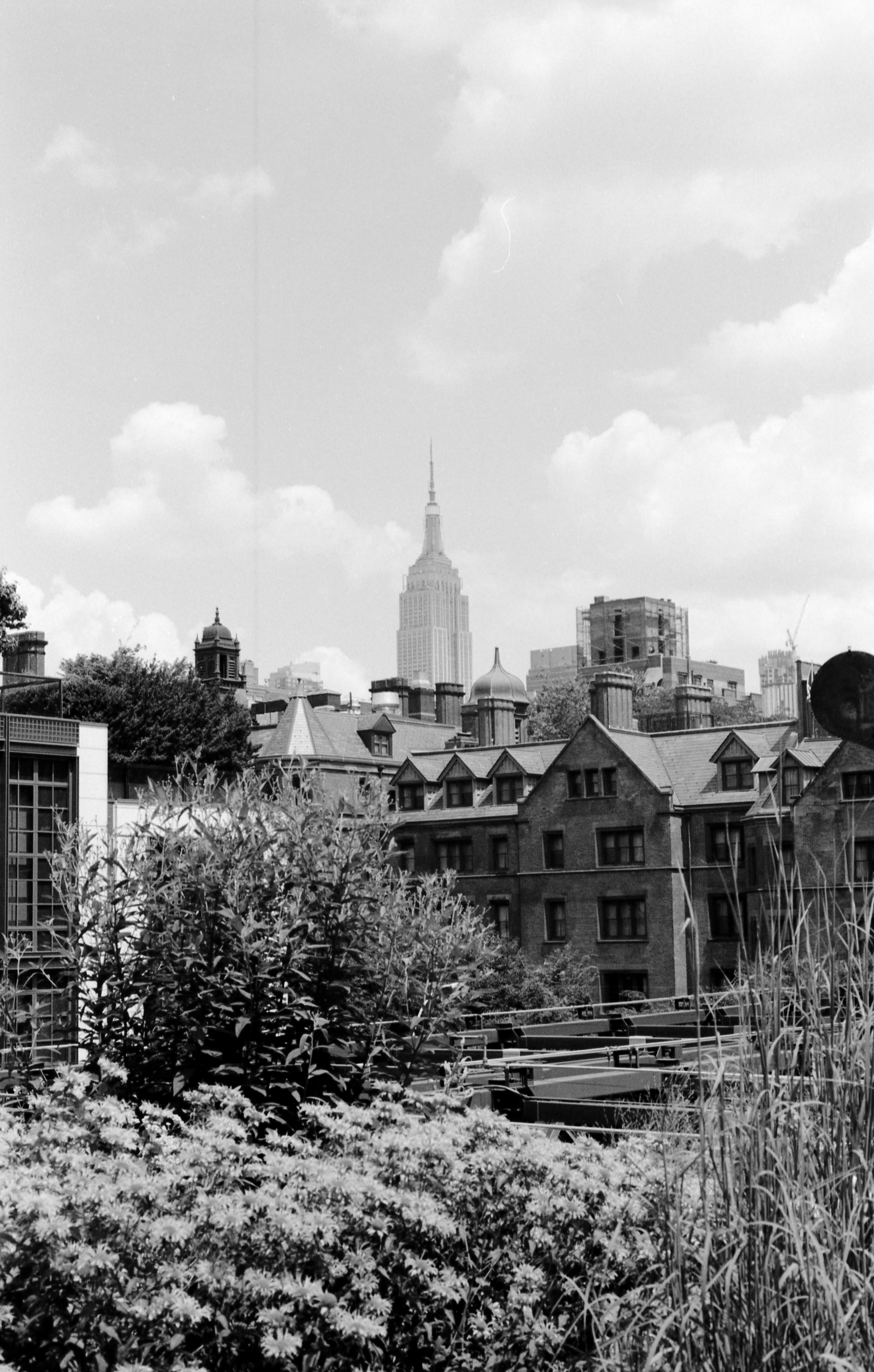 New York - 2019