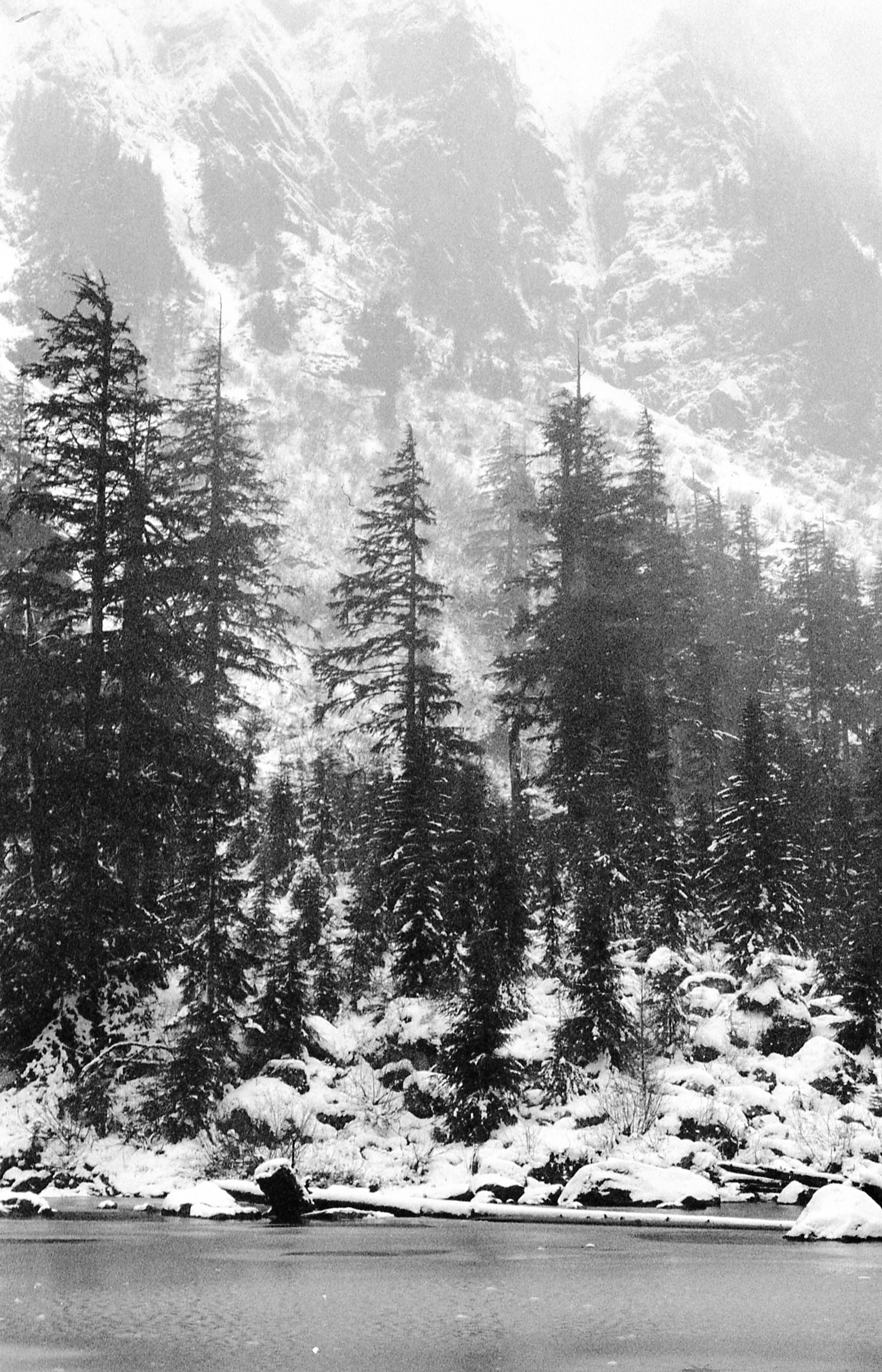 Barclay Lake - 2021