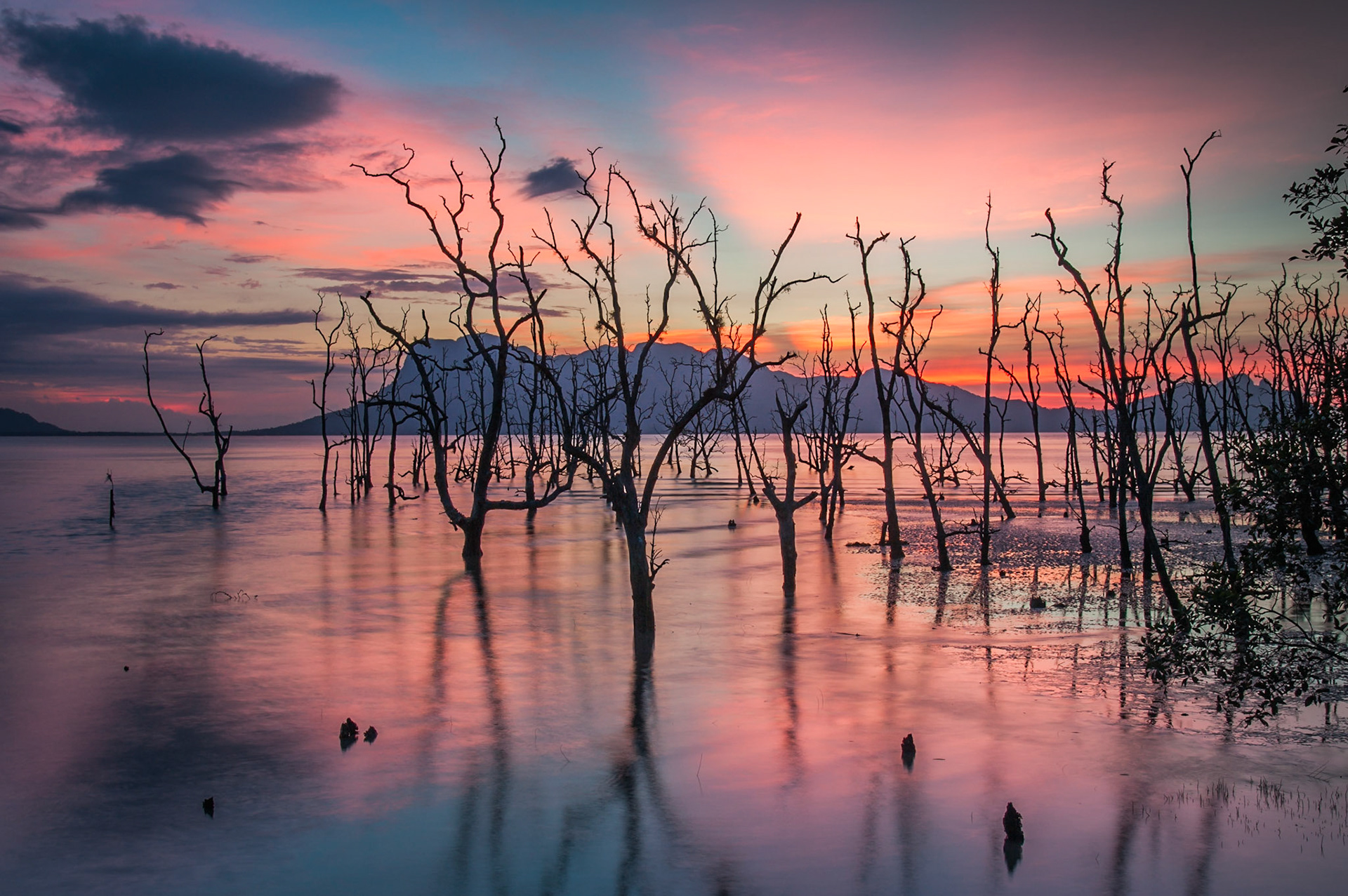 Timing was everything for these shots. I found this location earlier in the day, and wanted to get back out here for sunset. The sunset itself was a little disppointing, but thankfully, from experience we stayed around for the show… and what a show it was. Some of the most stunning post-sunset skies I have ever seen. Incredible. Bako National Park, this is where the adventure truely starts in Borneo! Bako National park has amazing hiking trails, through the jungles and across the island penisular to deserted jungle beaches.