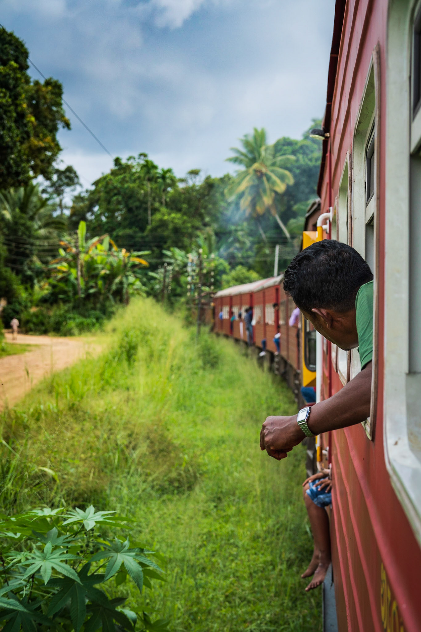 Into the Jungle