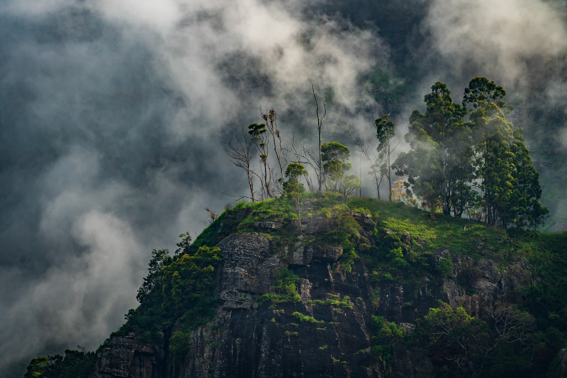 The Lost Rock
