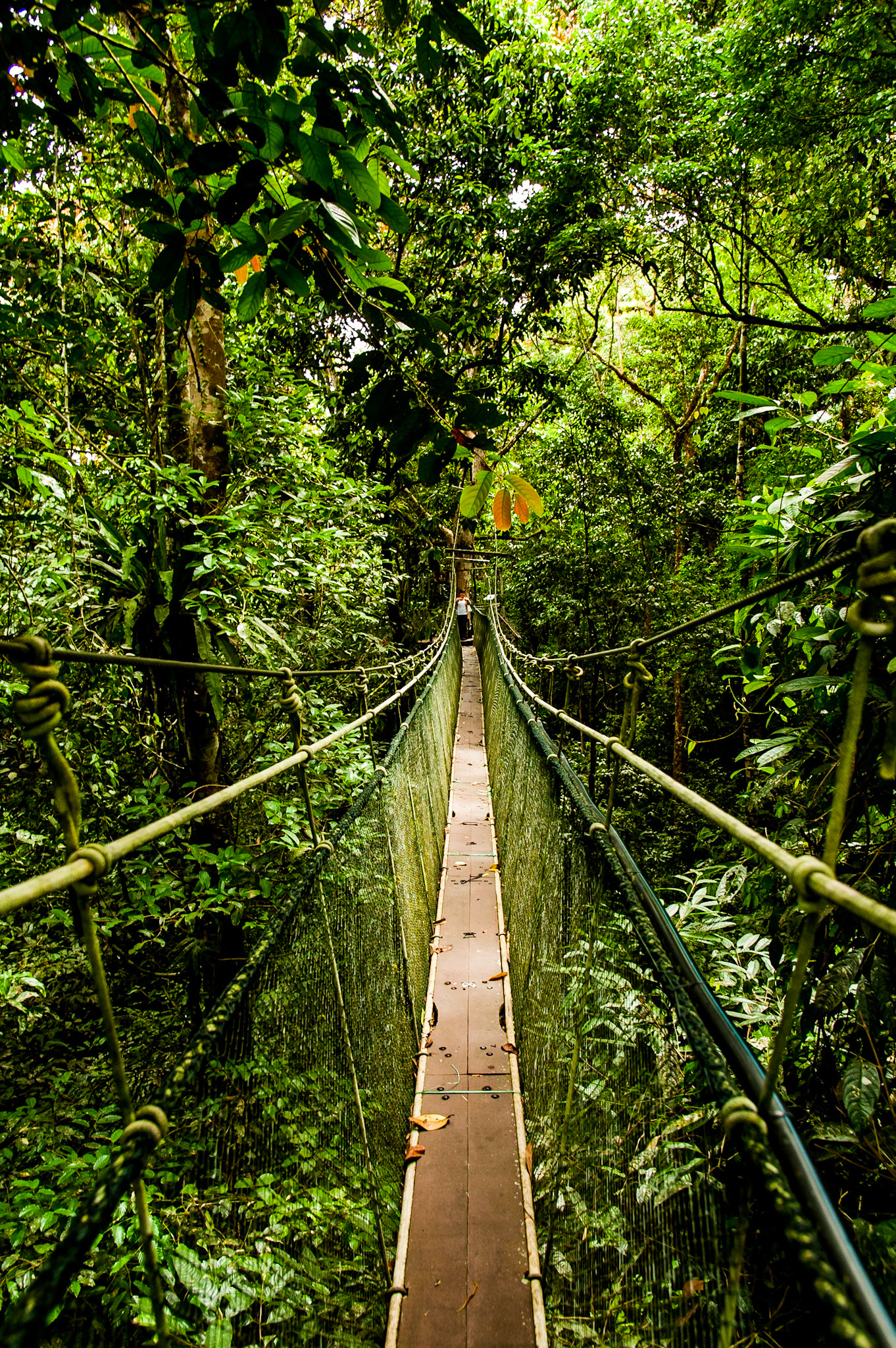 Gunung Mulu National Park, the jewel of Malaysian Borneo.Listed as a World Heritage Site in 2000, and rightly so. It hosts some of the biggest and most impressive caves in the world… The Mulu 'Showcaves'. We spent 3 days in Mulu, in a private jungle chalet and explored the Deer and Lang Cave, the Clear Water Cave, the Mulu Skywalk, nightwalks, bird towers and canoe trips down the river to Longhouses. Flying into the tiny airport in Mulu, over the jungle canopy in an ATR72, an experience in itself! A must see for a true Borneo experience. Highly recommeded… even if you cant use tripods in the caves!