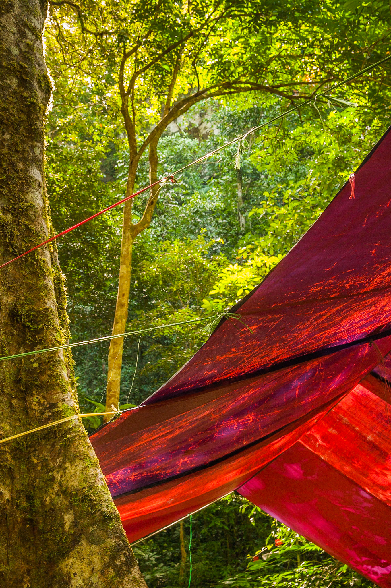 Gunung Mulu National Park, the jewel of Malaysian Borneo.Listed as a World Heritage Site in 2000, and rightly so. It hosts some of the biggest and most impressive caves in the world… The Mulu 'Showcaves'. We spent 3 days in Mulu, in a private jungle chalet and explored the Deer and Lang Cave, the Clear Water Cave, the Mulu Skywalk, nightwalks, bird towers and canoe trips down the river to Longhouses. Flying into the tiny airport in Mulu, over the jungle canopy in an ATR72, an experience in itself! A must see for a true Borneo experience. Highly recommeded… even if you cant use tripods in the caves!