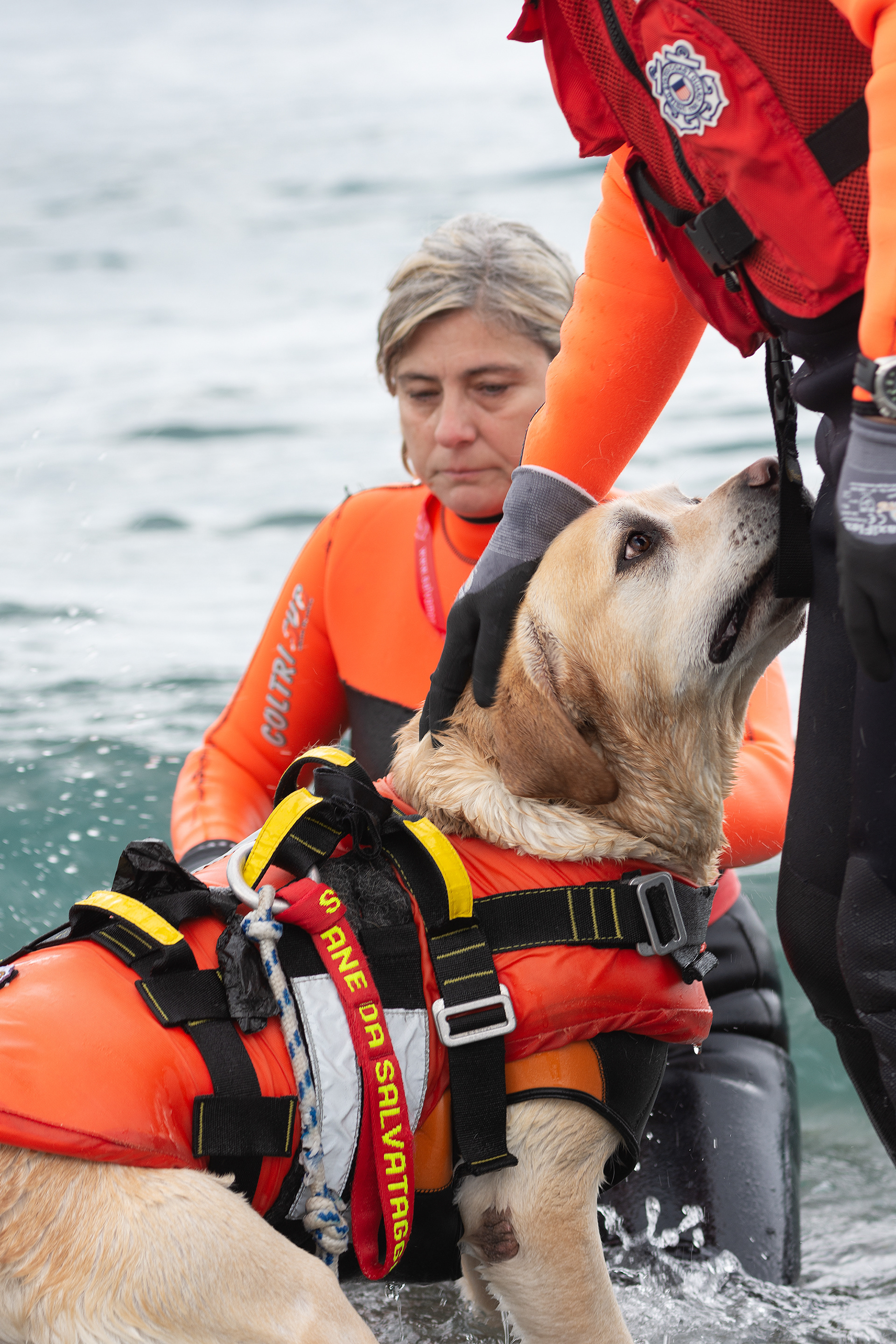Un ultimo gesto prima della missione di salvataggio. La mano del conduttore infonde coraggio al proprio cane e quest'ultimo gli dimostra tutta la sua fiducia. Entrambi sono pronti!
