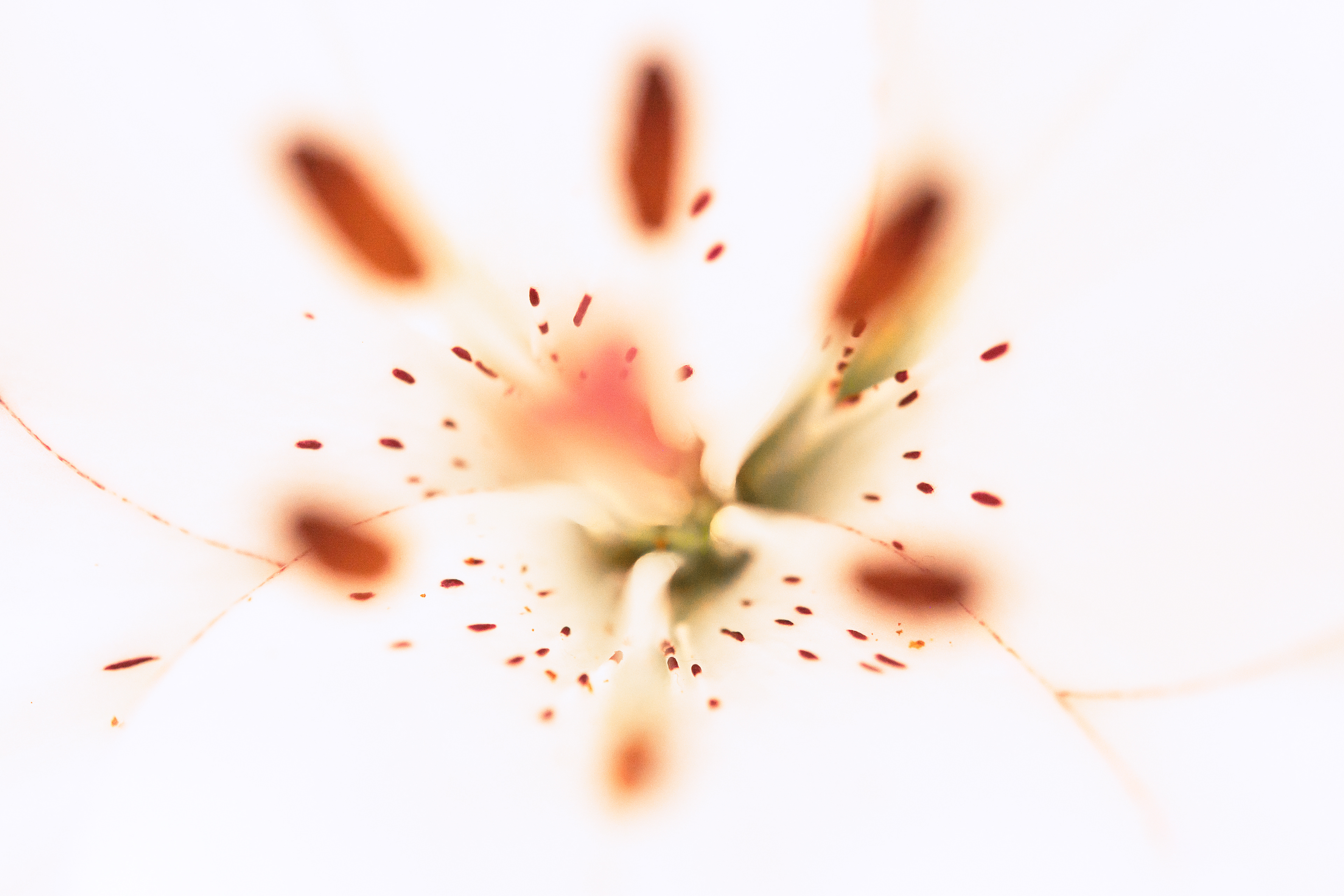 The Explosion, 2022