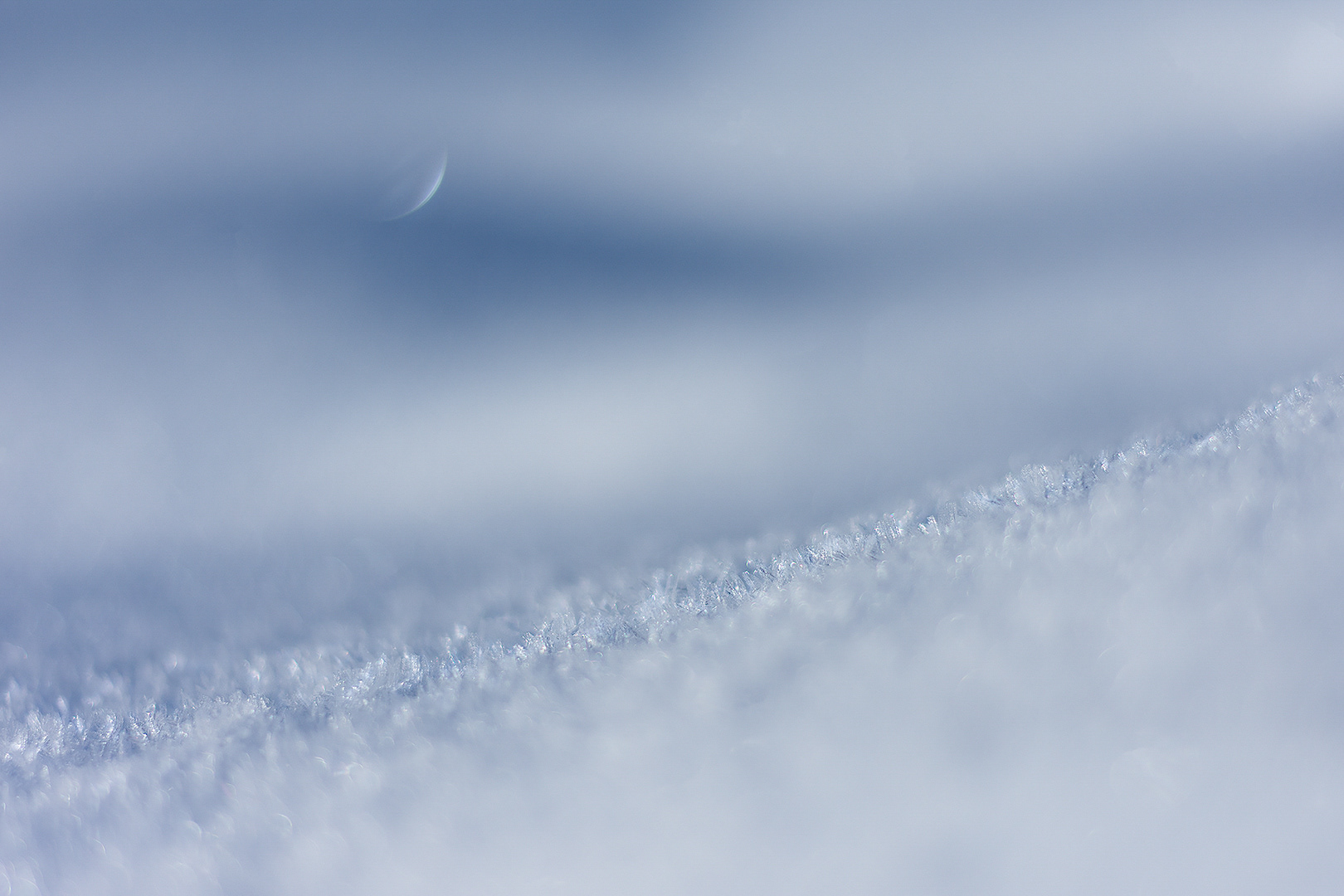 Rising Moon in Snowland, 2020