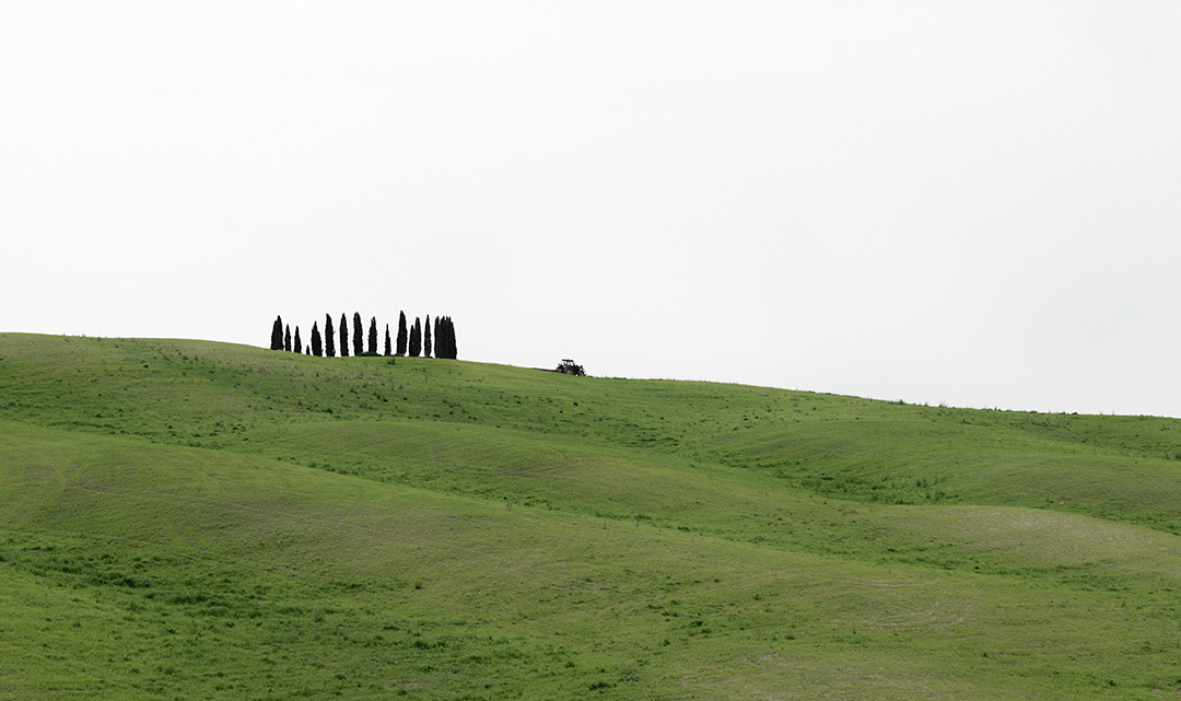 Terra di Siena 2024