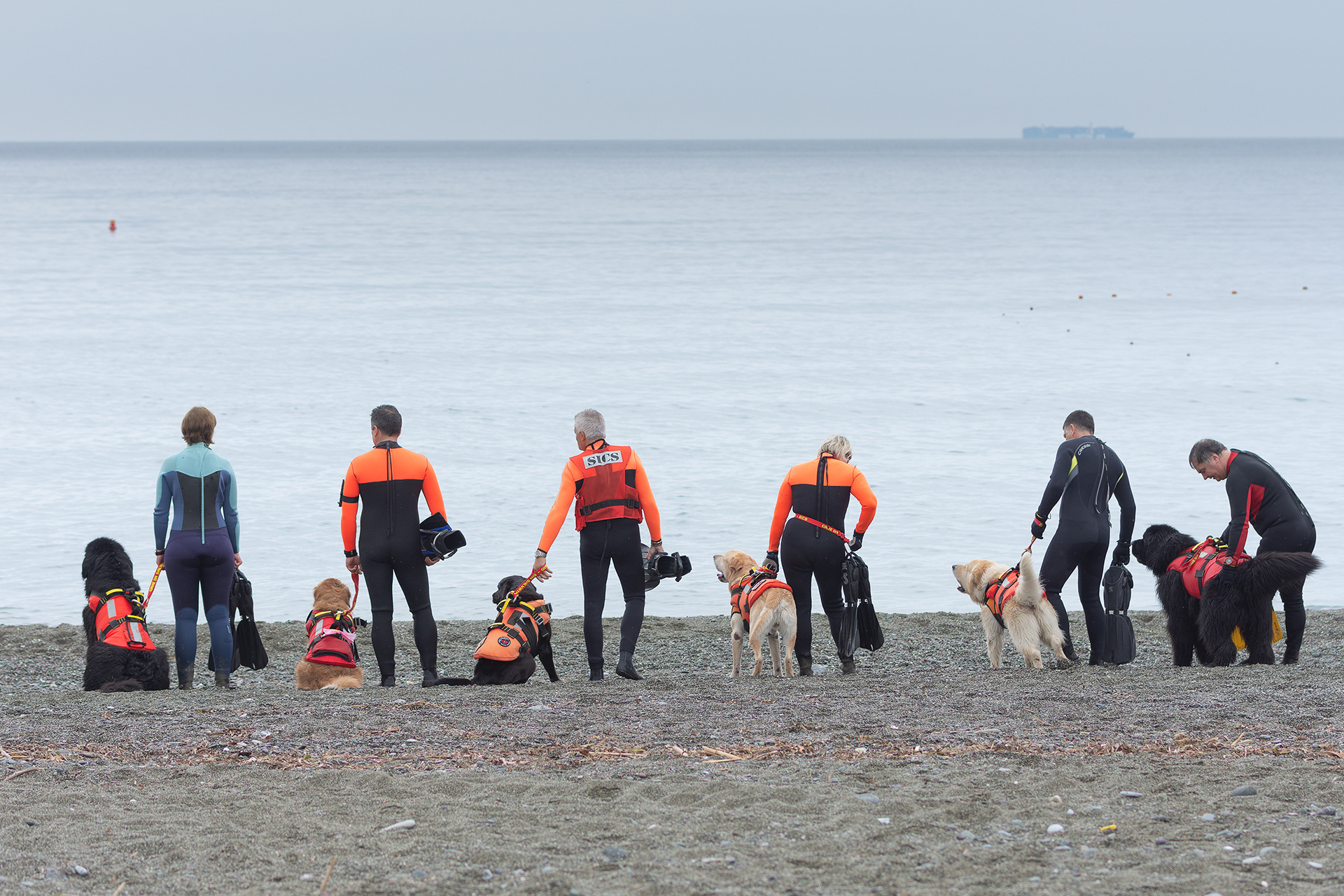 Cani e conduttori si schierano fronte mare. I binomi sono addestrati a scrutare il mare senza distrarsi.