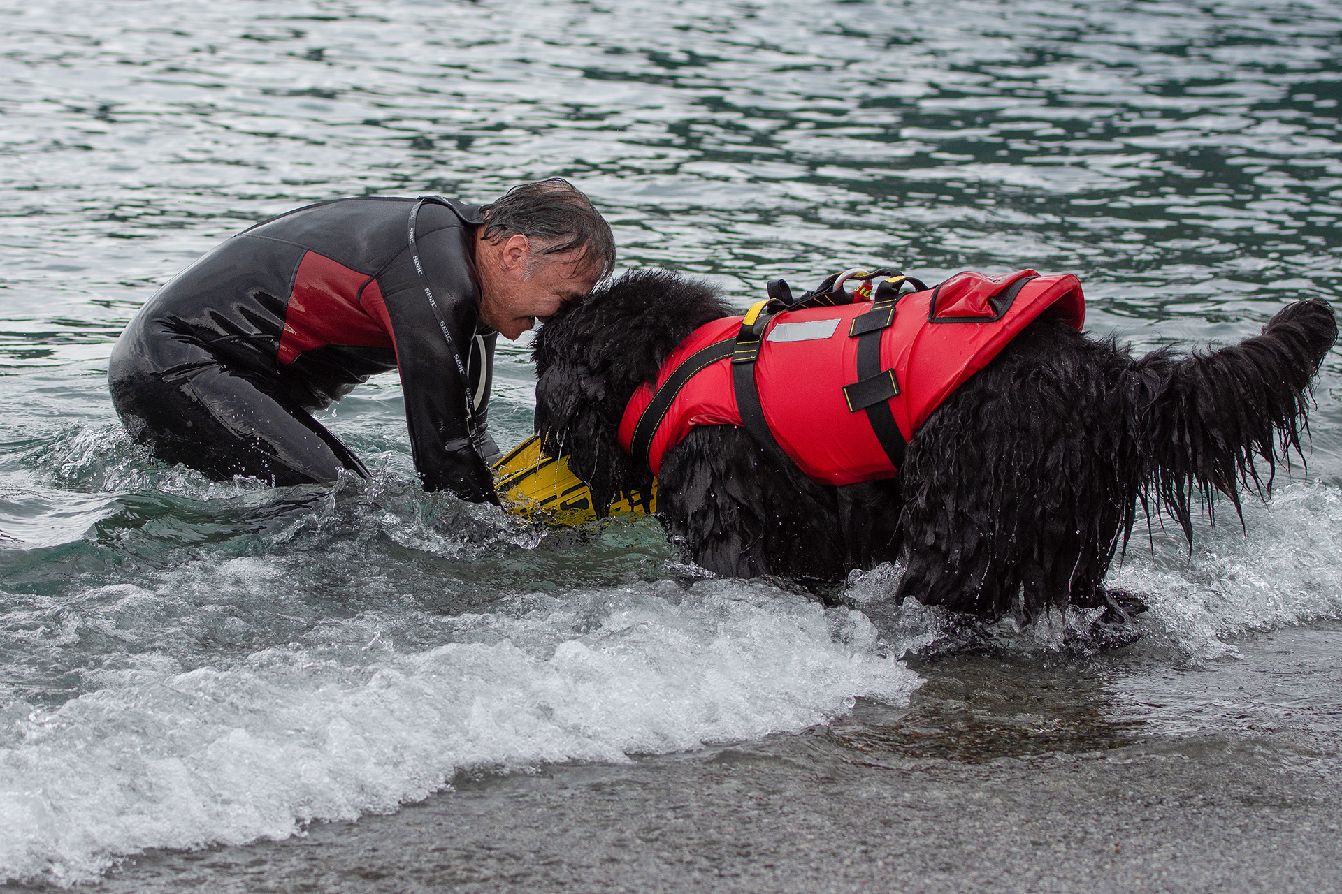 Al rientro dalla missione di salvataggio è gioia, soddisfazione ed orgoglio sia per il cane che per il conduttore.
