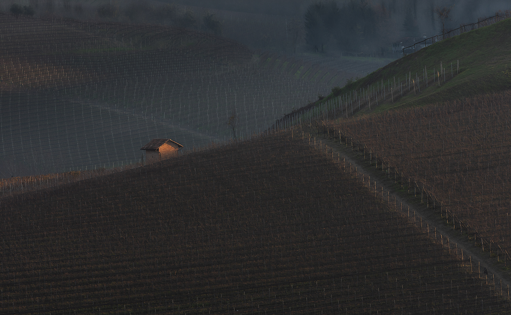 Langhe, 2018