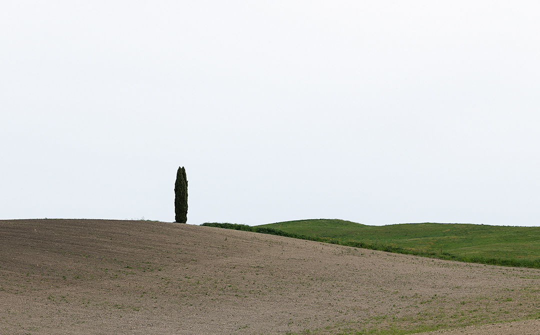 Il Senese 2024
