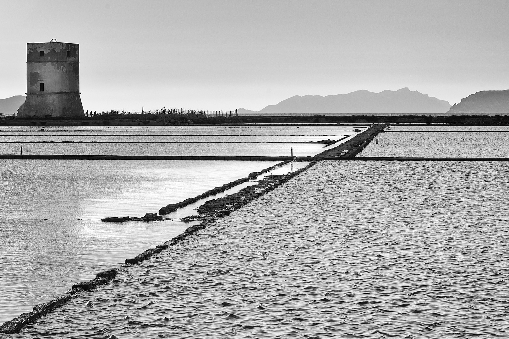 Salina di Trapani, 2020