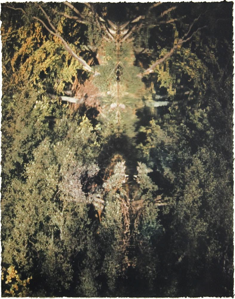 Fotogravure 72x90 cm