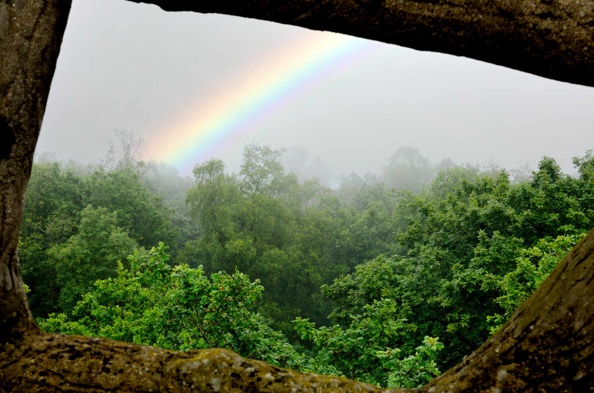 Travel & Nature Photography - Ardennes, France