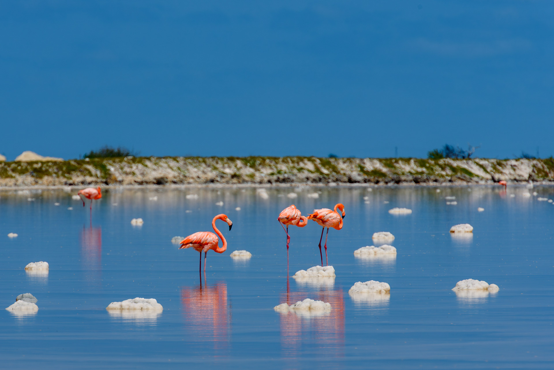 Travel Photography, Caribbean, Curacao