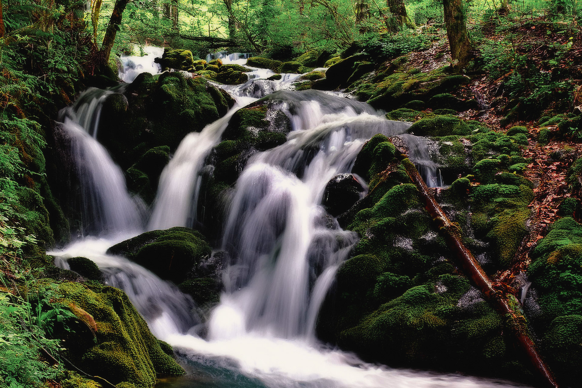 Travel Photography, Ardennes, France