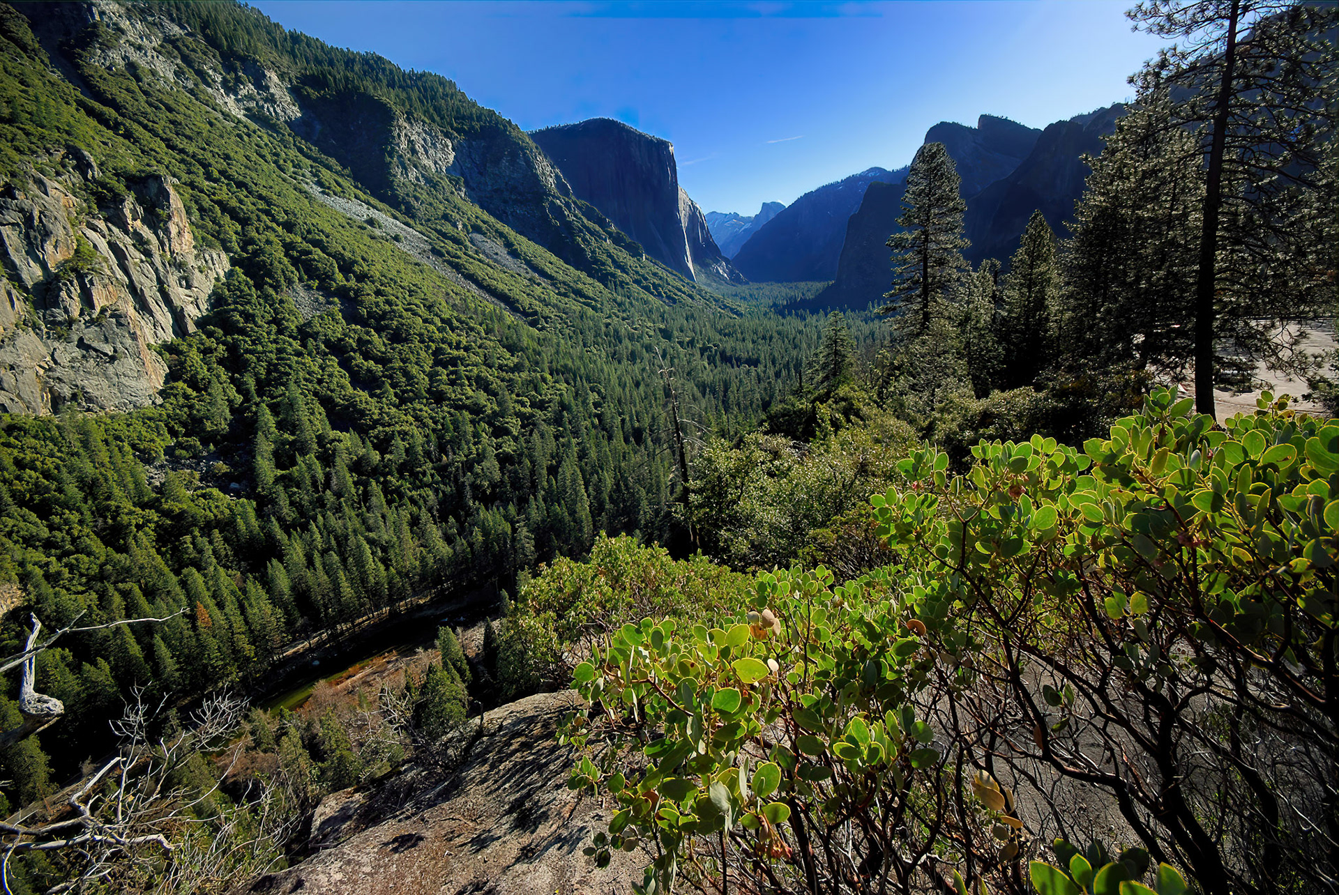 Yosemite national park