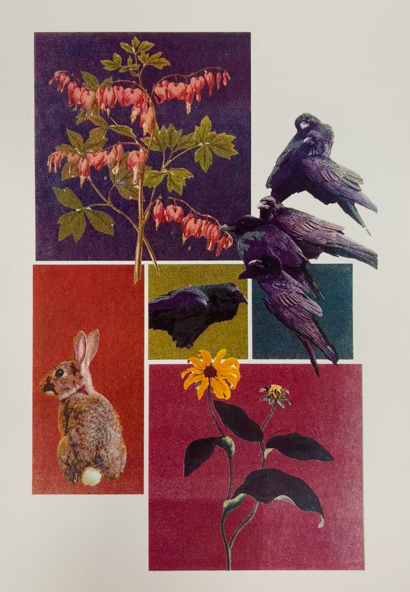 Our Garden Out Back, December 2023, Lithography, 22” x 15”