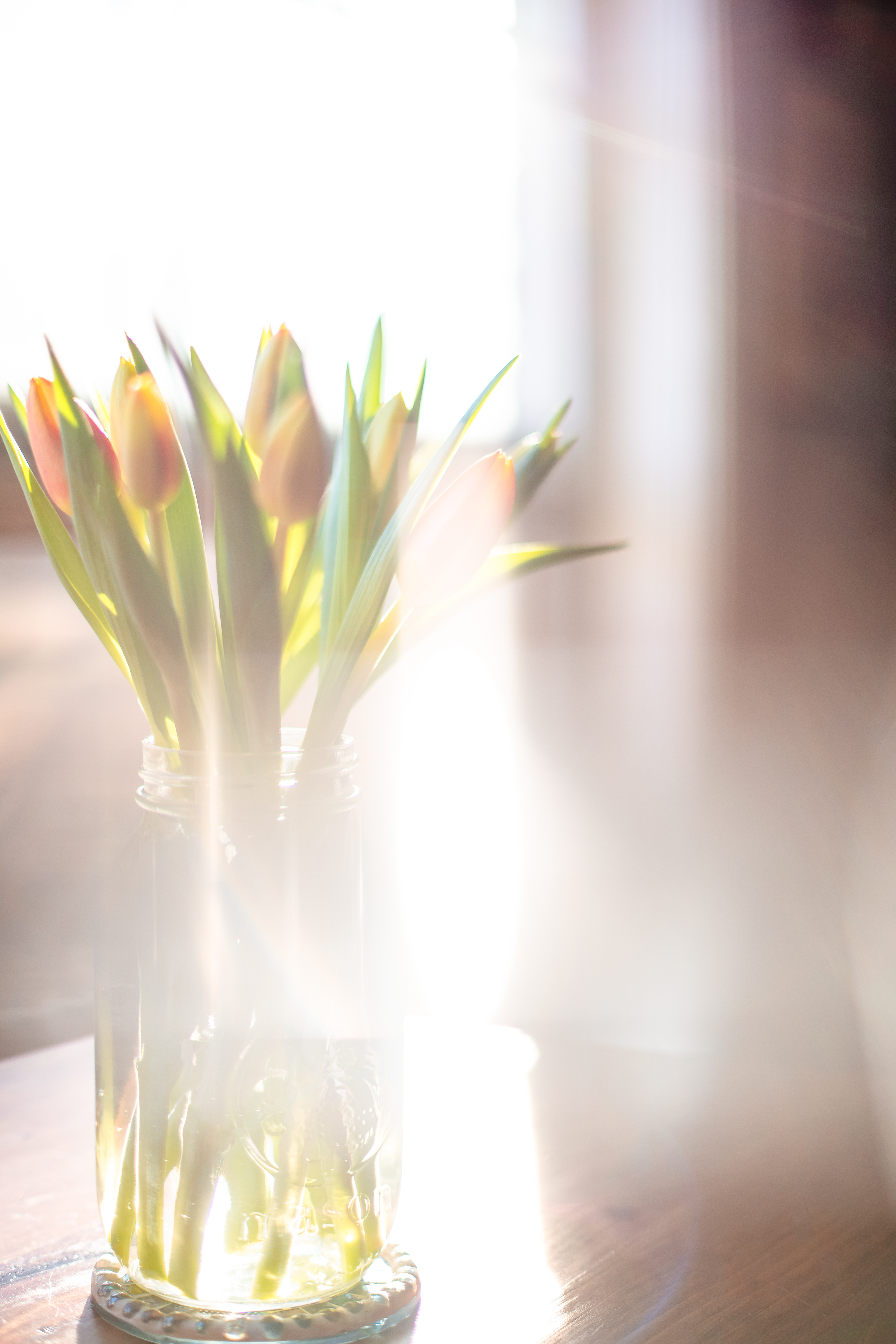 Prism ~ ~ Nikon d850