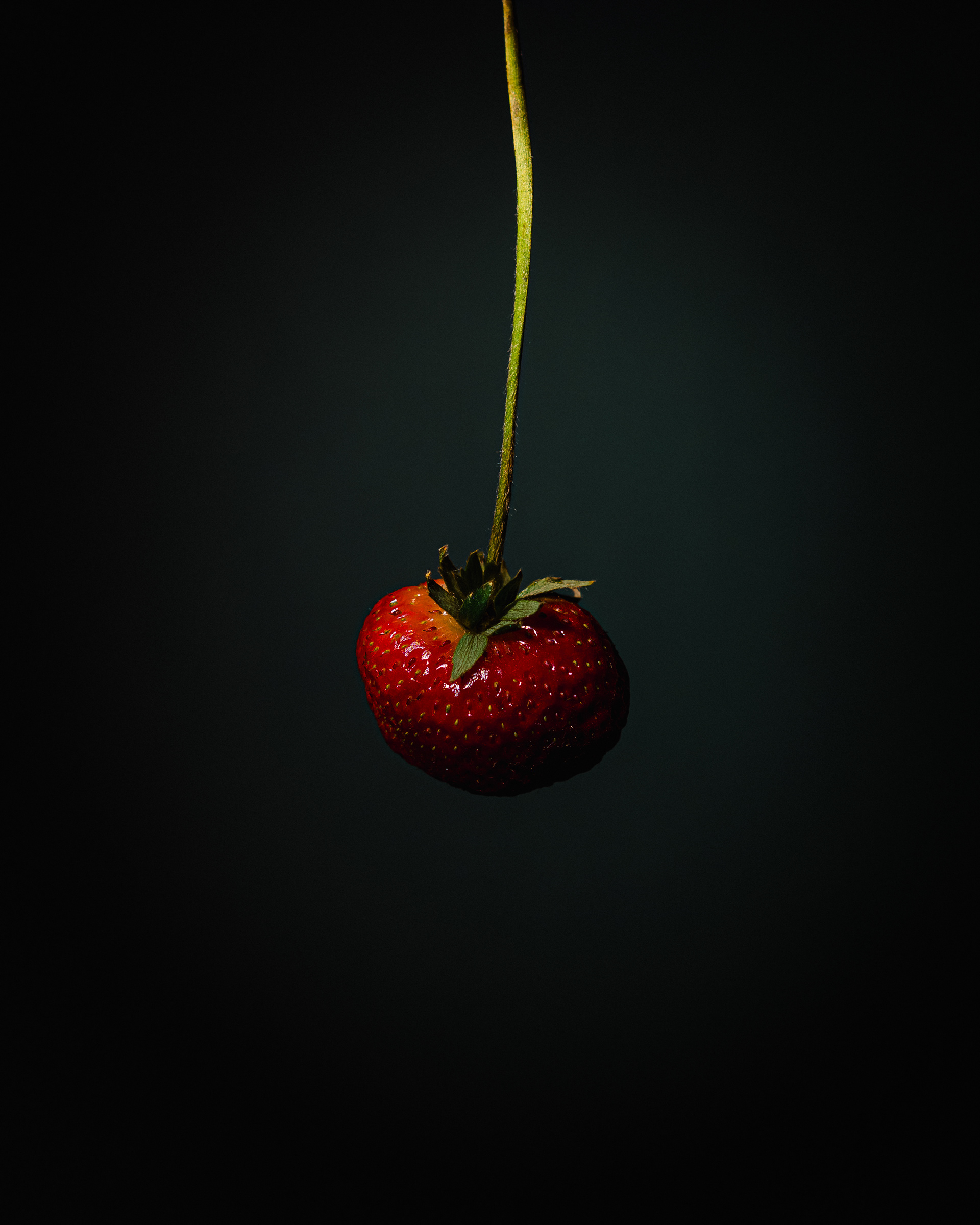 Hanging Fruit